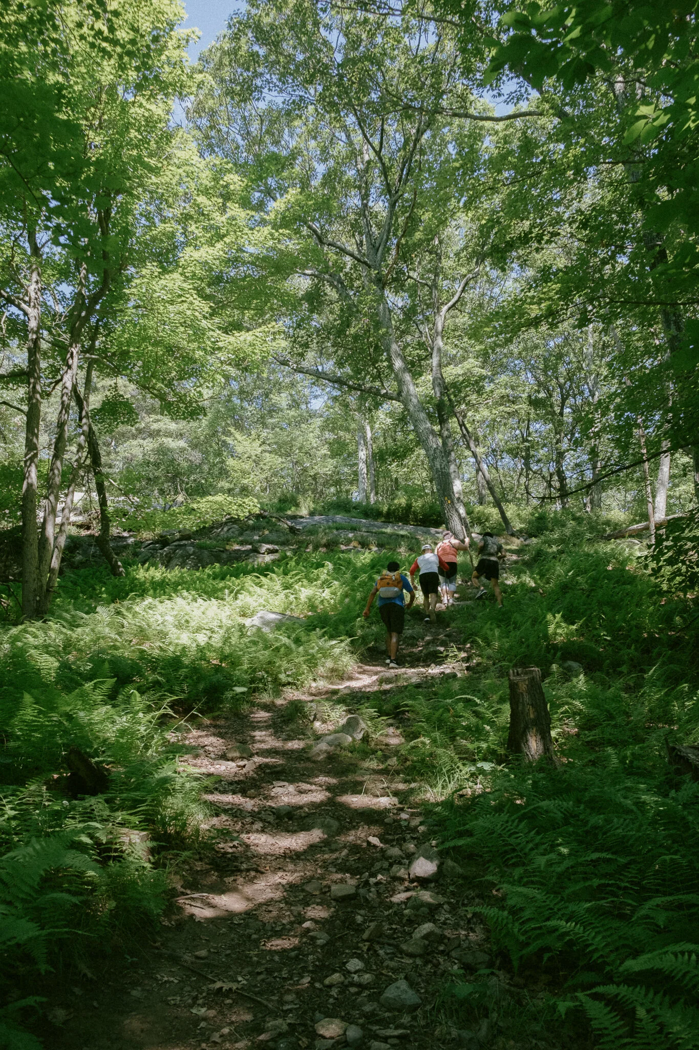 DSCF2299.jpg