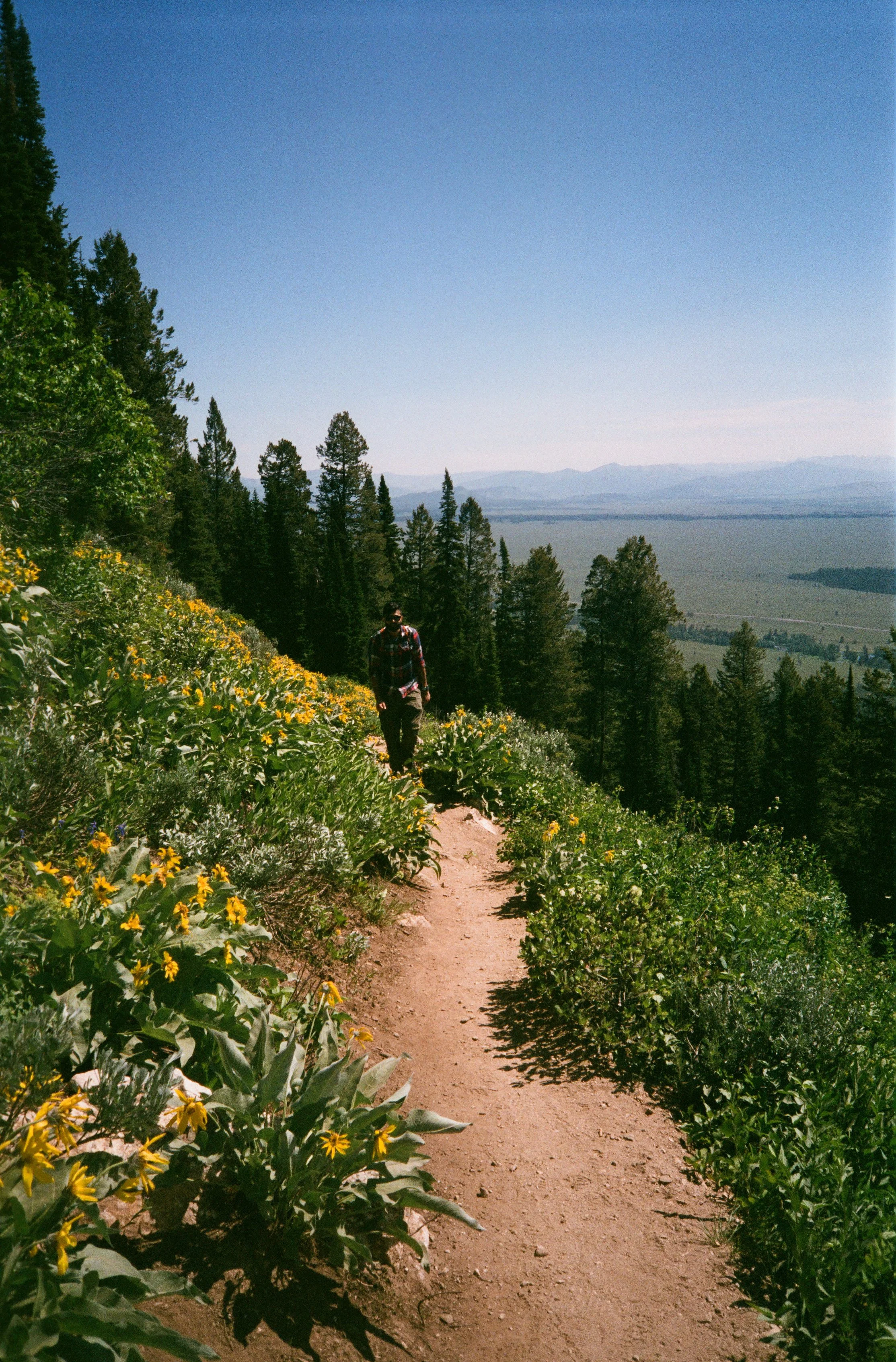 061483040006 copy.jpg