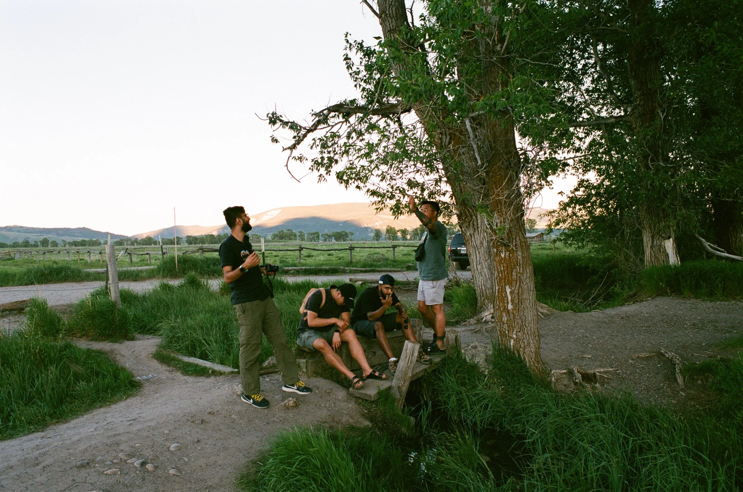 061483090012 copy.jpg