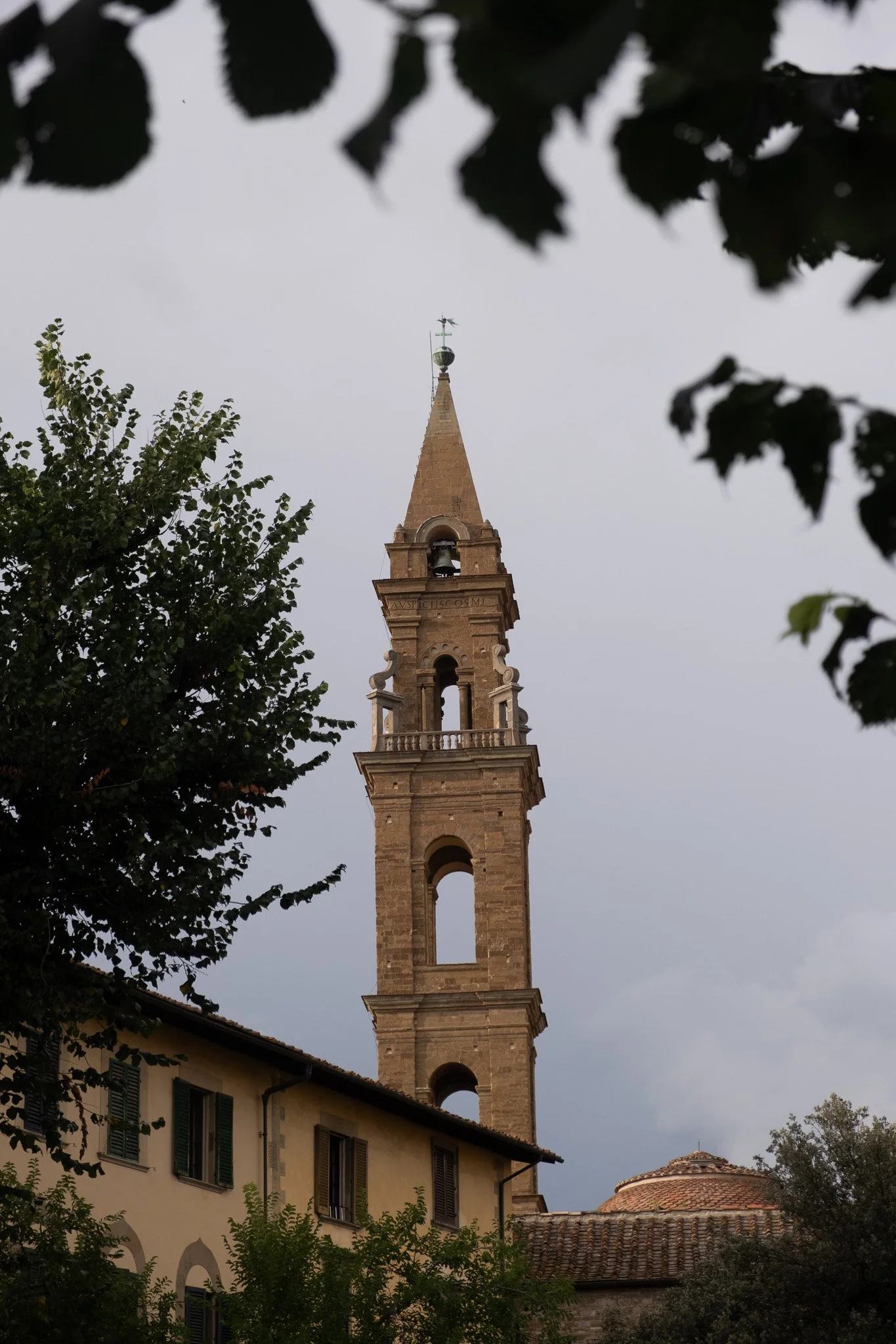 DSCF4314.jpg