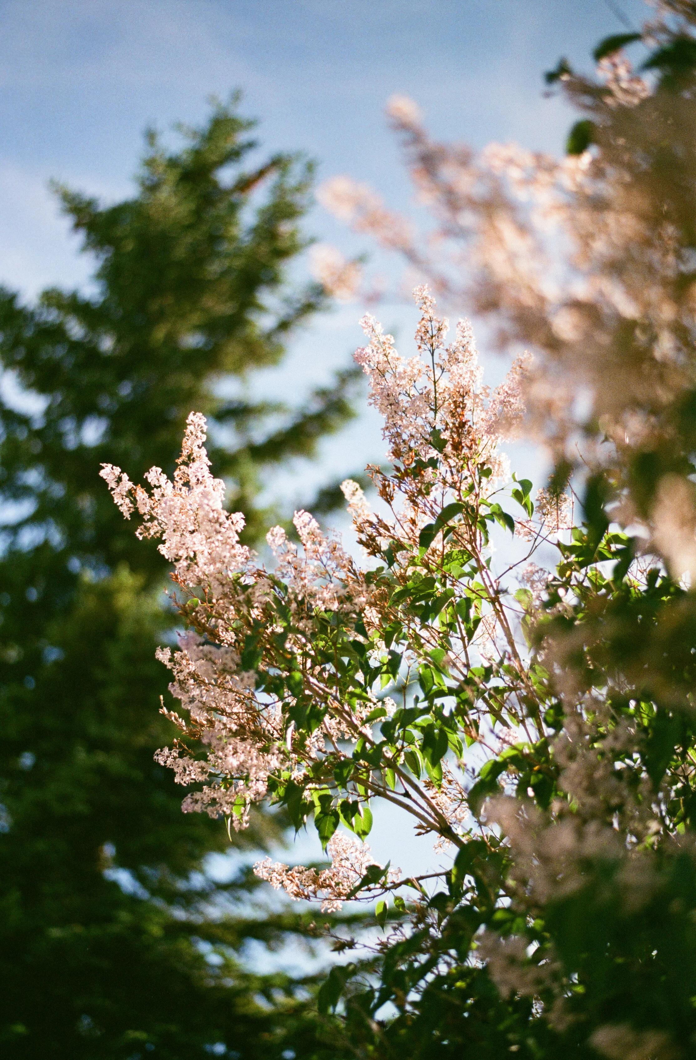 061483030002 copy.jpg
