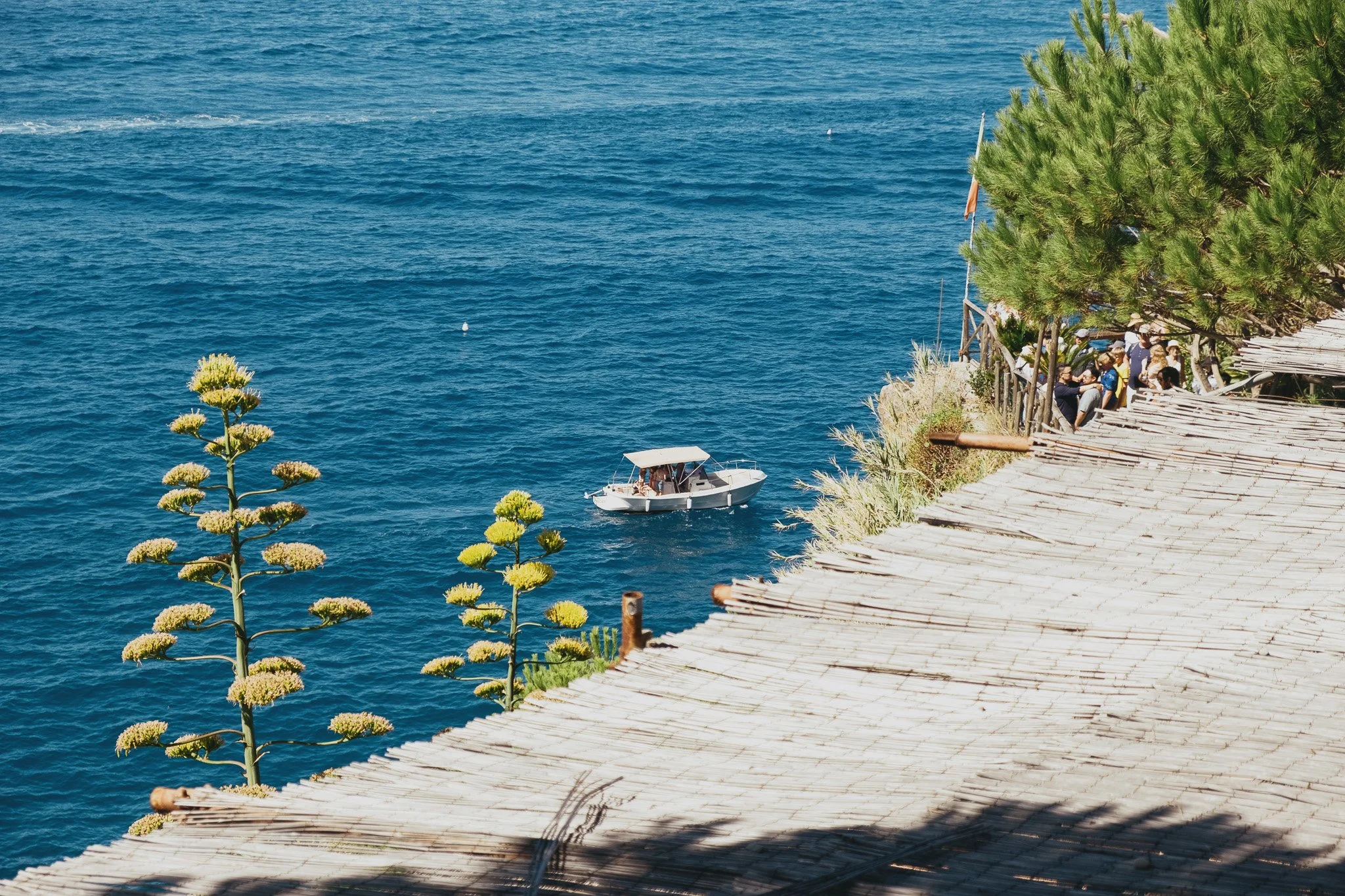 DSCF4691.jpg