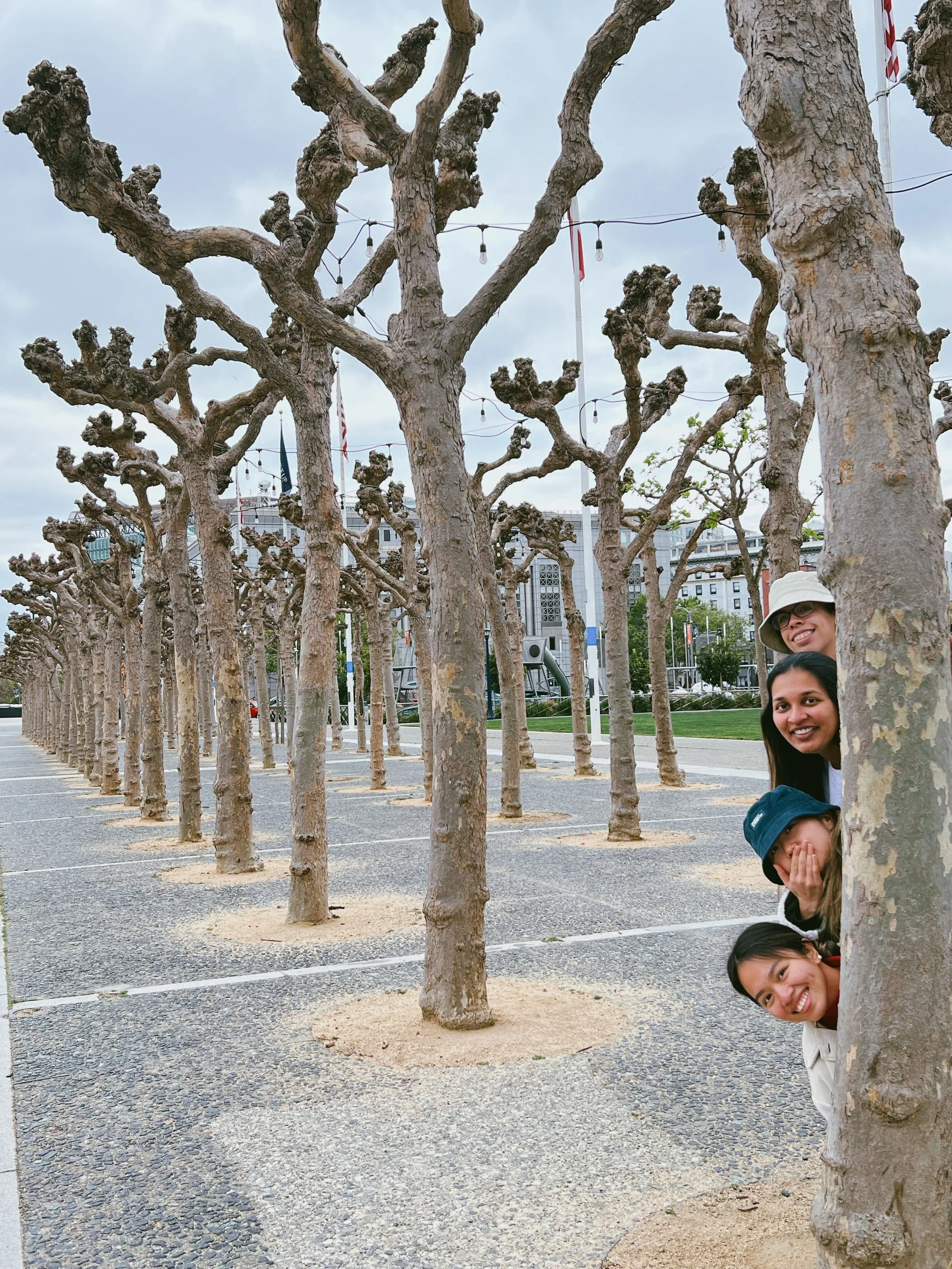 RNI-Films-IMG-1DE60CF0-A8D6-454A-B269-7DC5E21A85A2.jpg