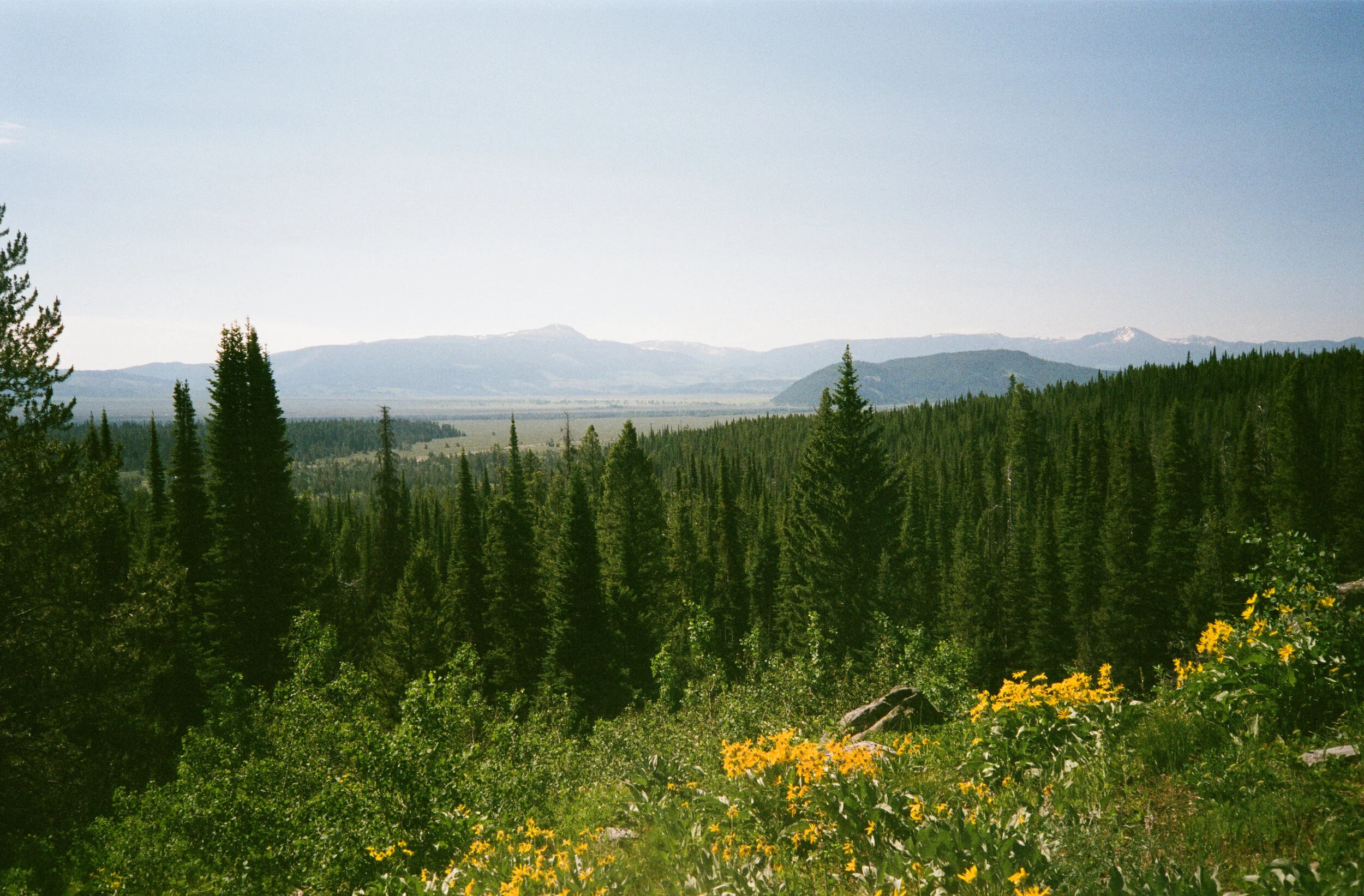 061483040016 copy.jpg