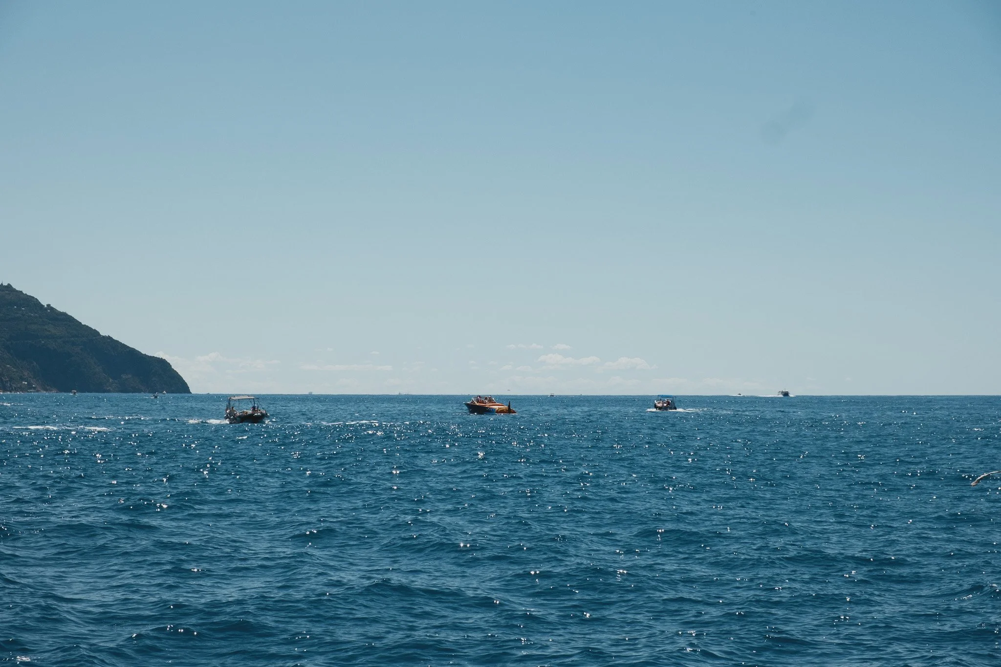 DSCF4739.jpg