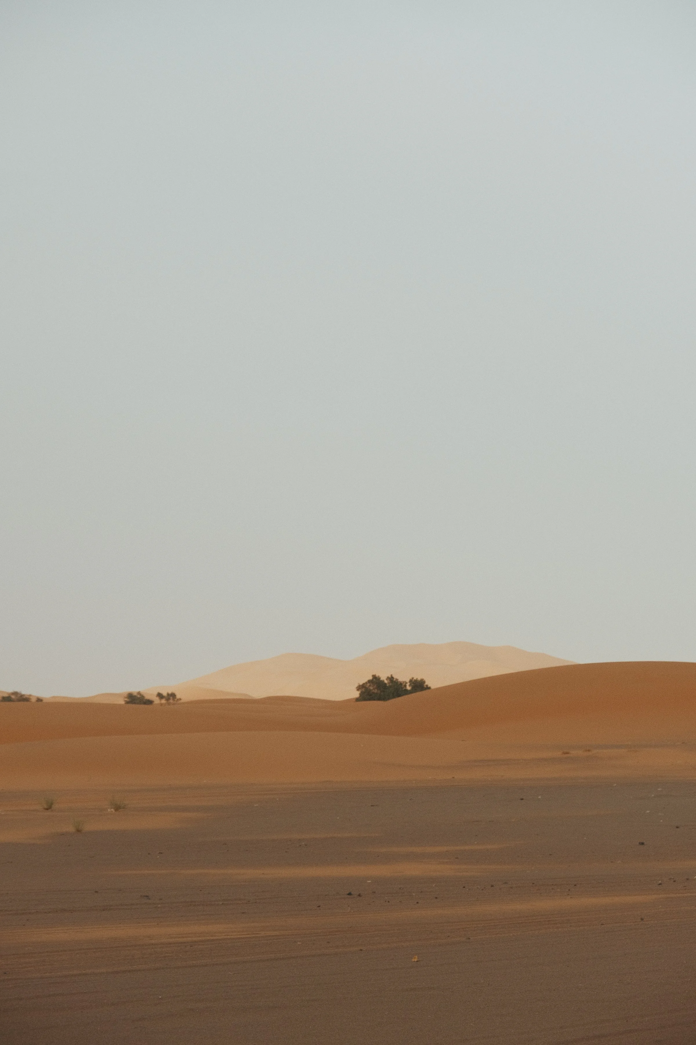 2023 trip-097.jpg