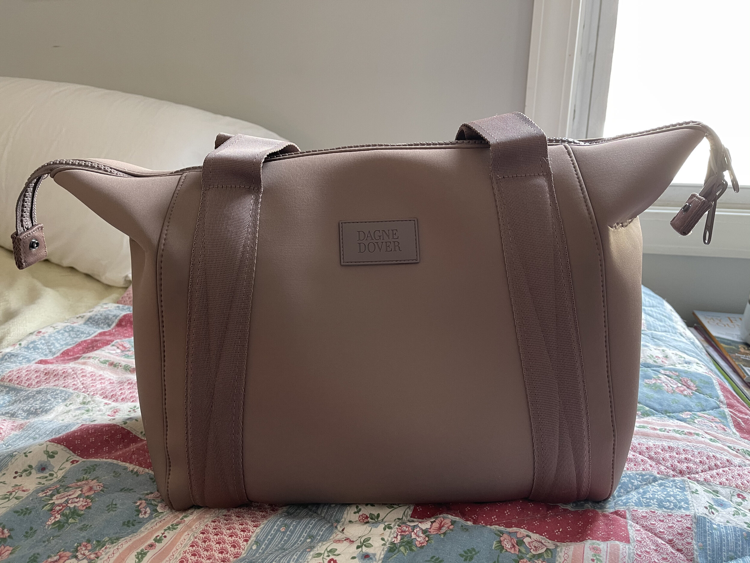 How To Clean Dagne Dover Bag  