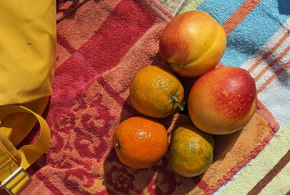 citrus fruit like oranges lying on a red beach towel