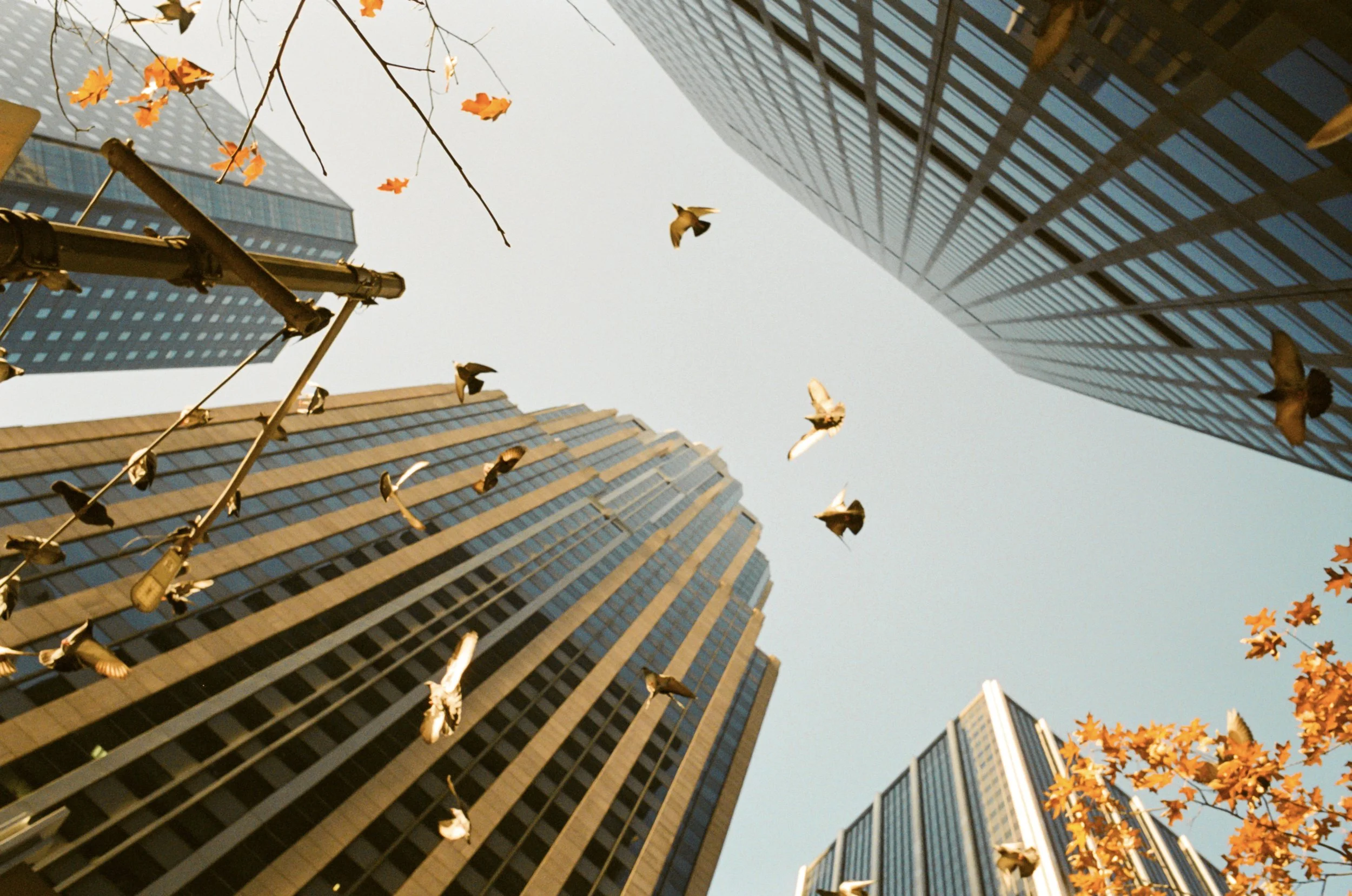 45852_SRA_004_25 Edited.jpg