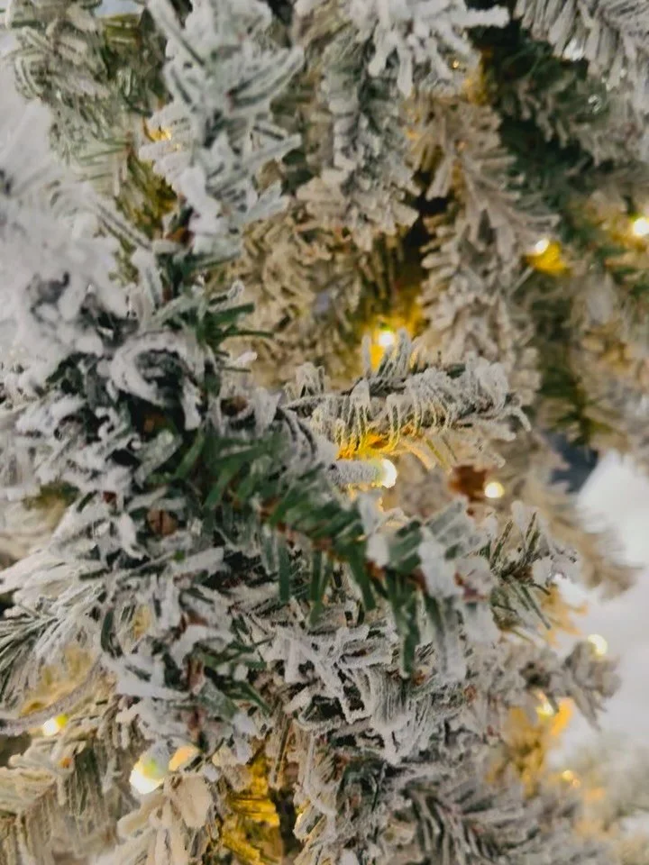 A winter corporate party 🫶❄️⛄️

#balloonarch #sugarfoxparty#illinoisballoondecor #partydecor #balloonartist