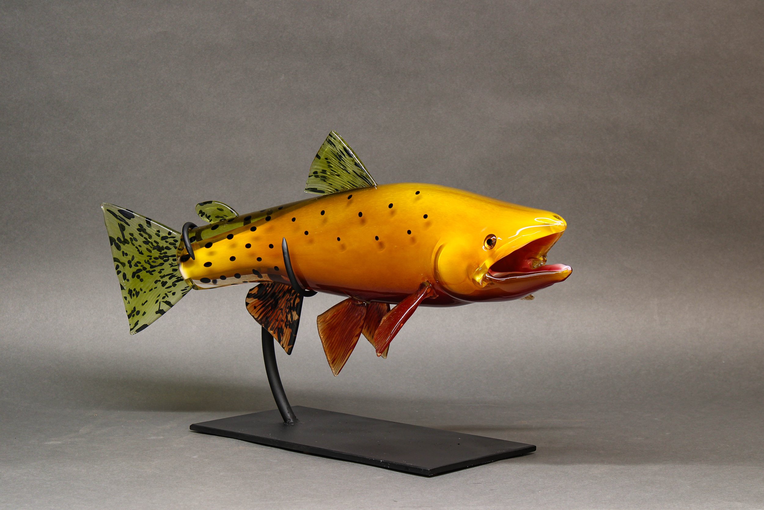 Greenback Cutthroat Edited.jpg