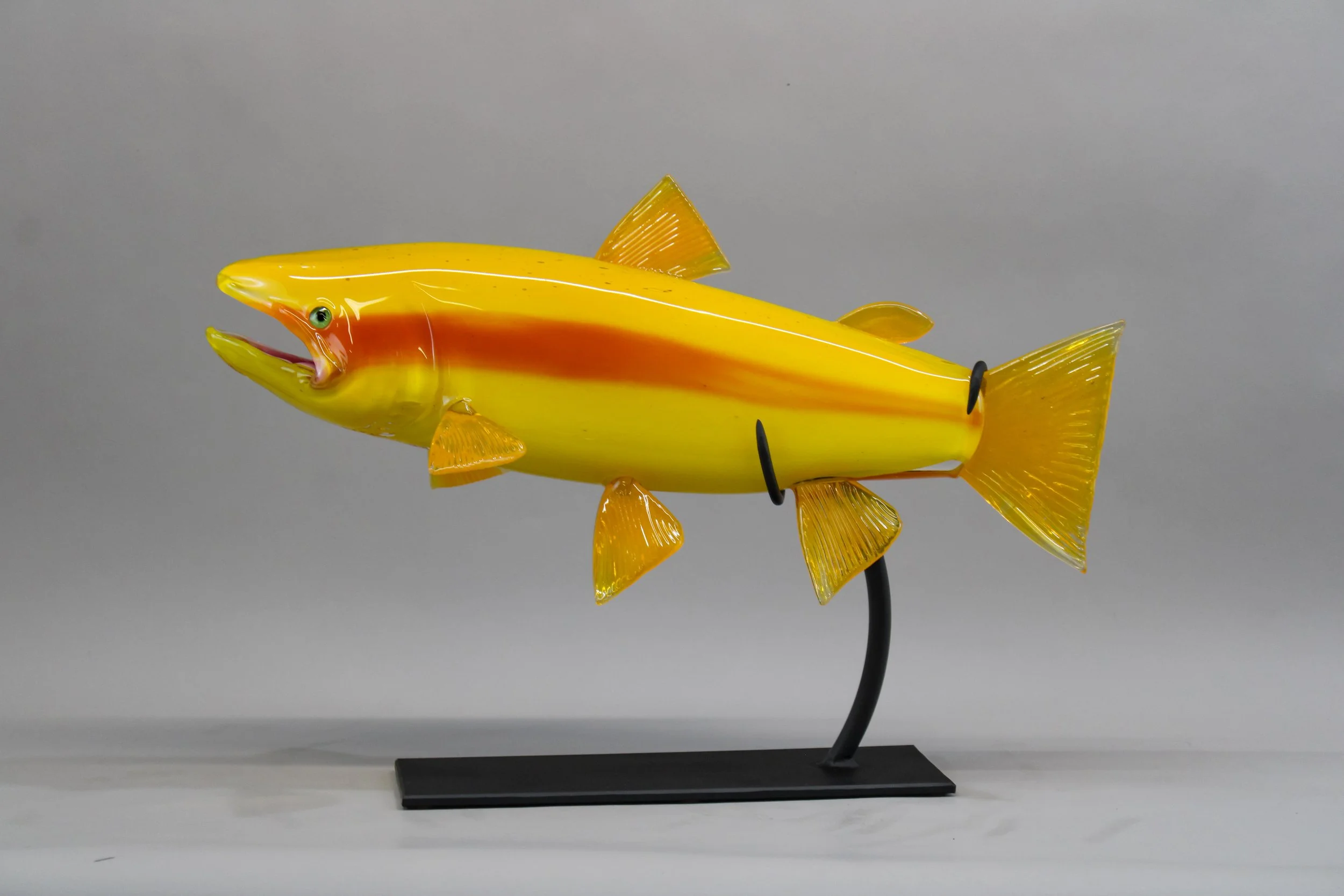 Palomino Rainbow Trout