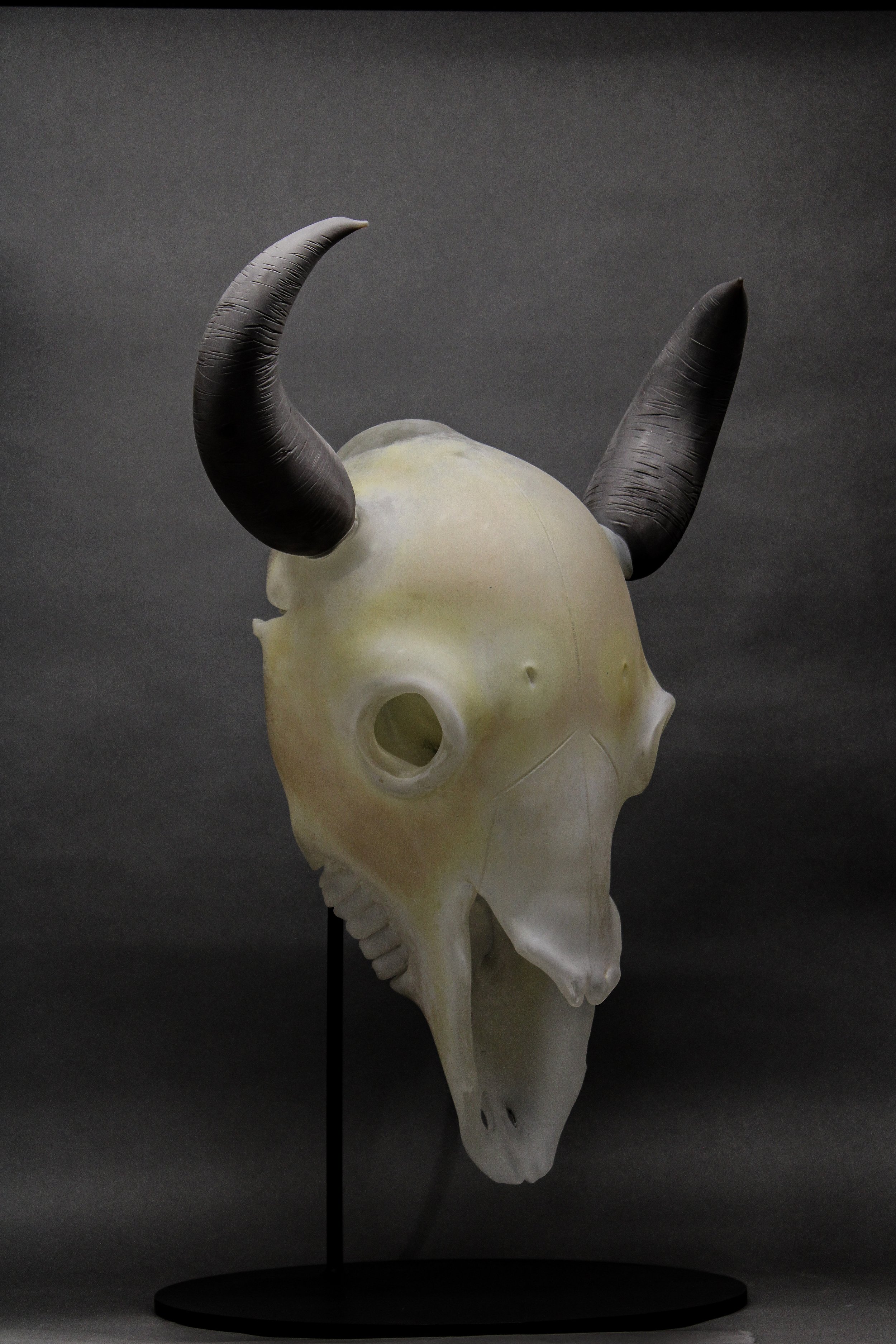Ghosts of the West: Bison
