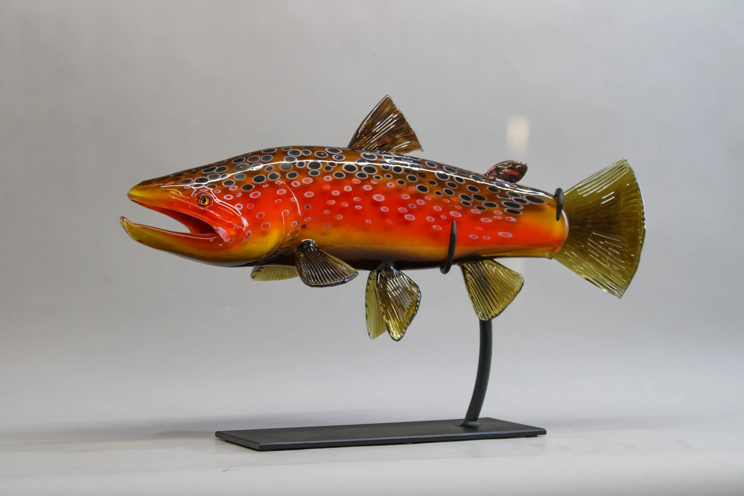 Fall Brown Trout
