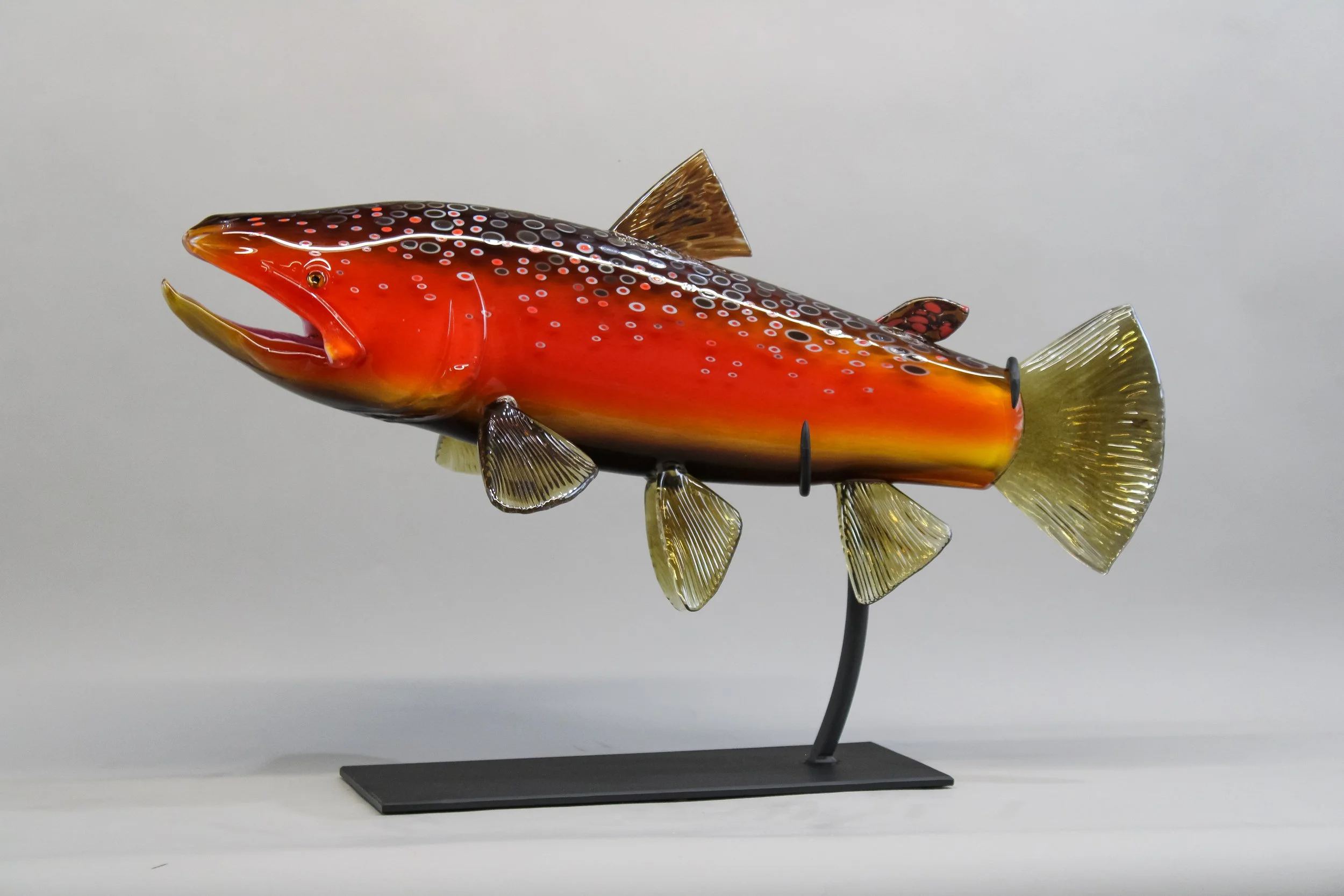 Fall Brown Trout