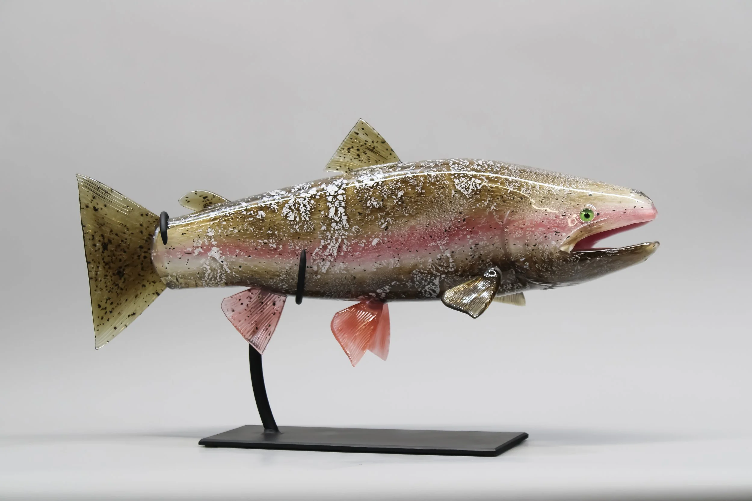 Spawning Male Rainbow