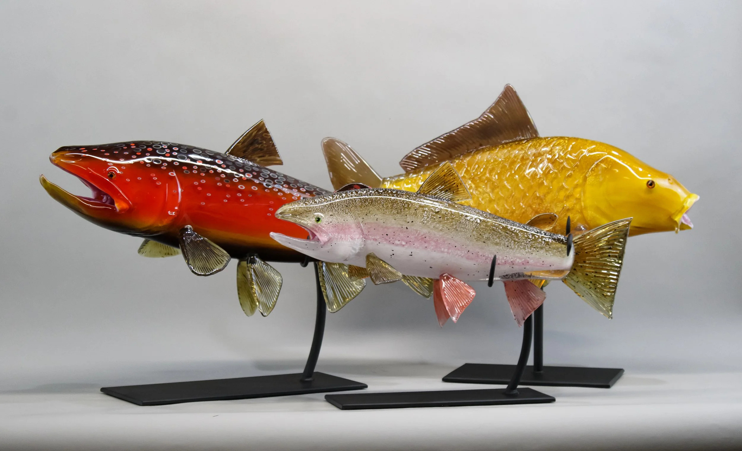 Brown, Rainbow, and Carp Trio