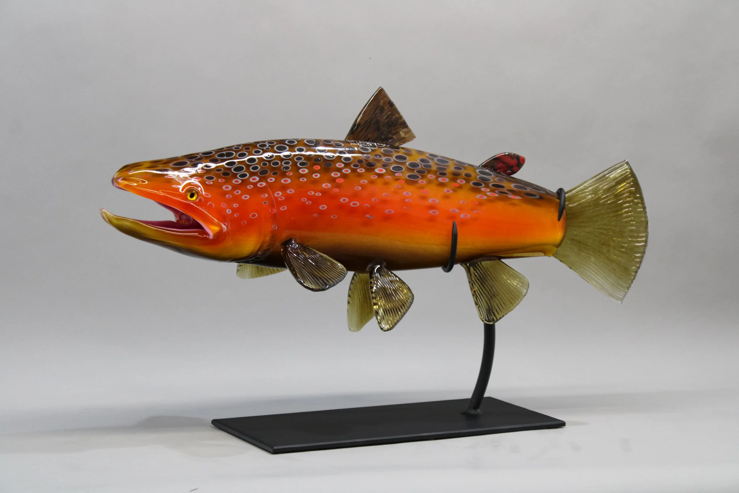 Fall Brown Trout