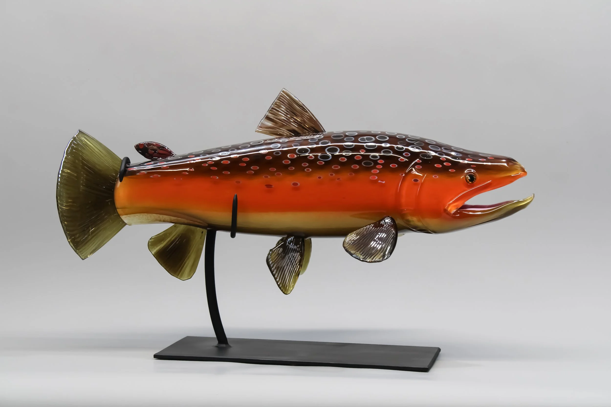 Fall Brown Trout