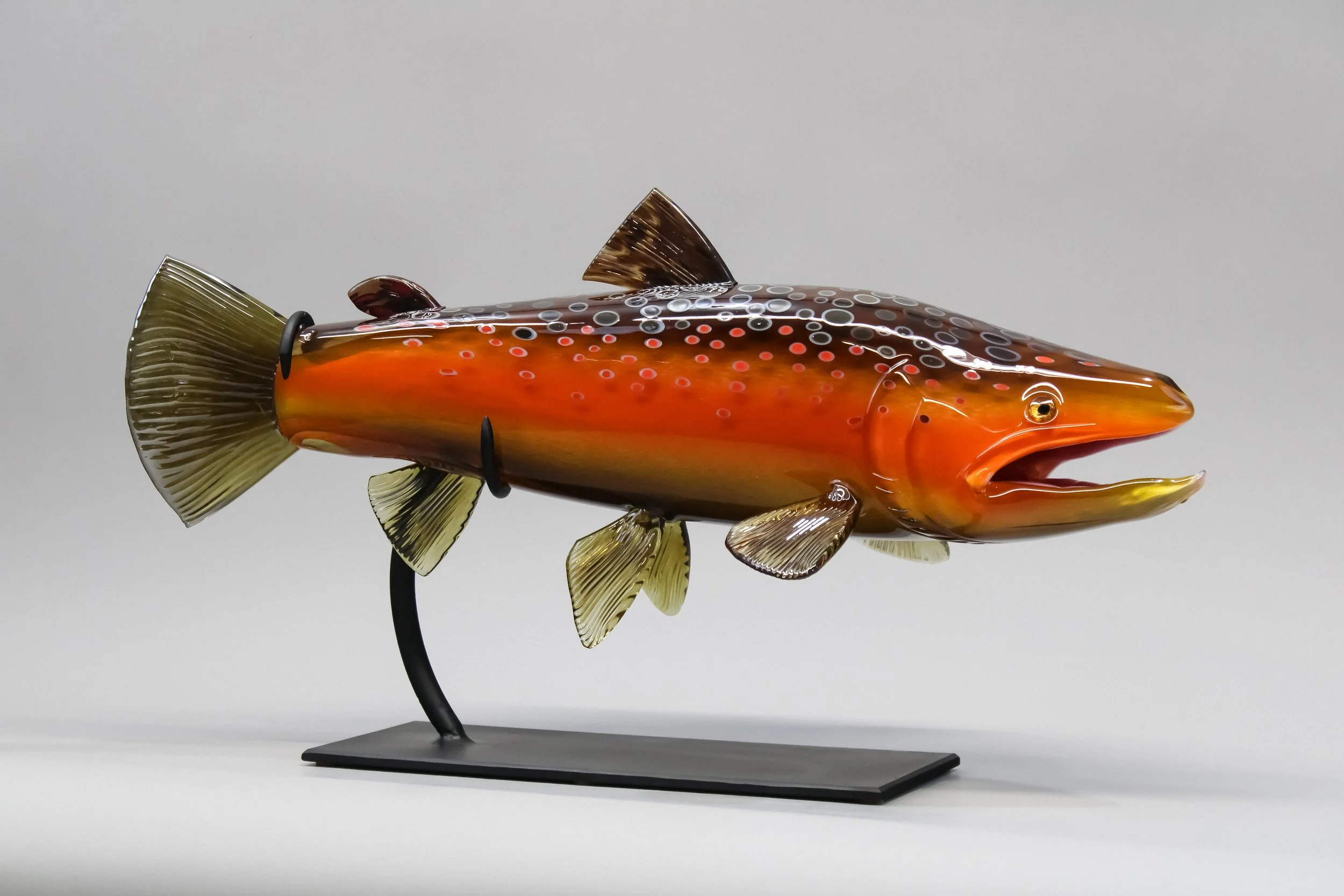 Fall Brown Trout