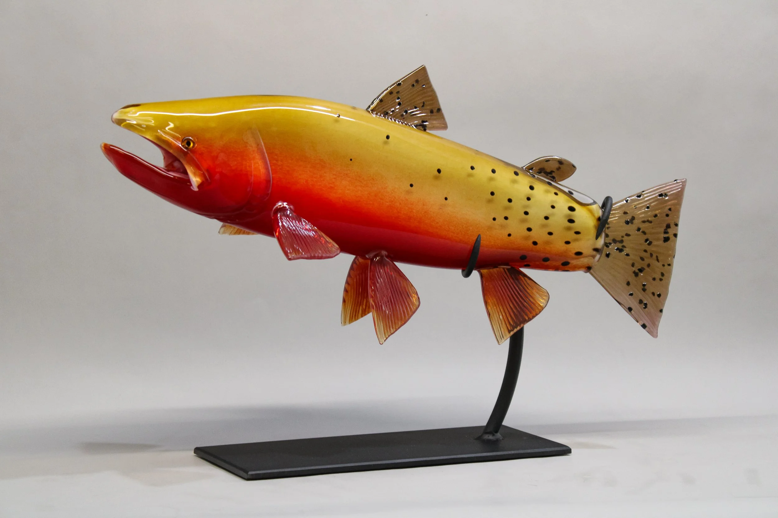 Colorado River Cutthroat