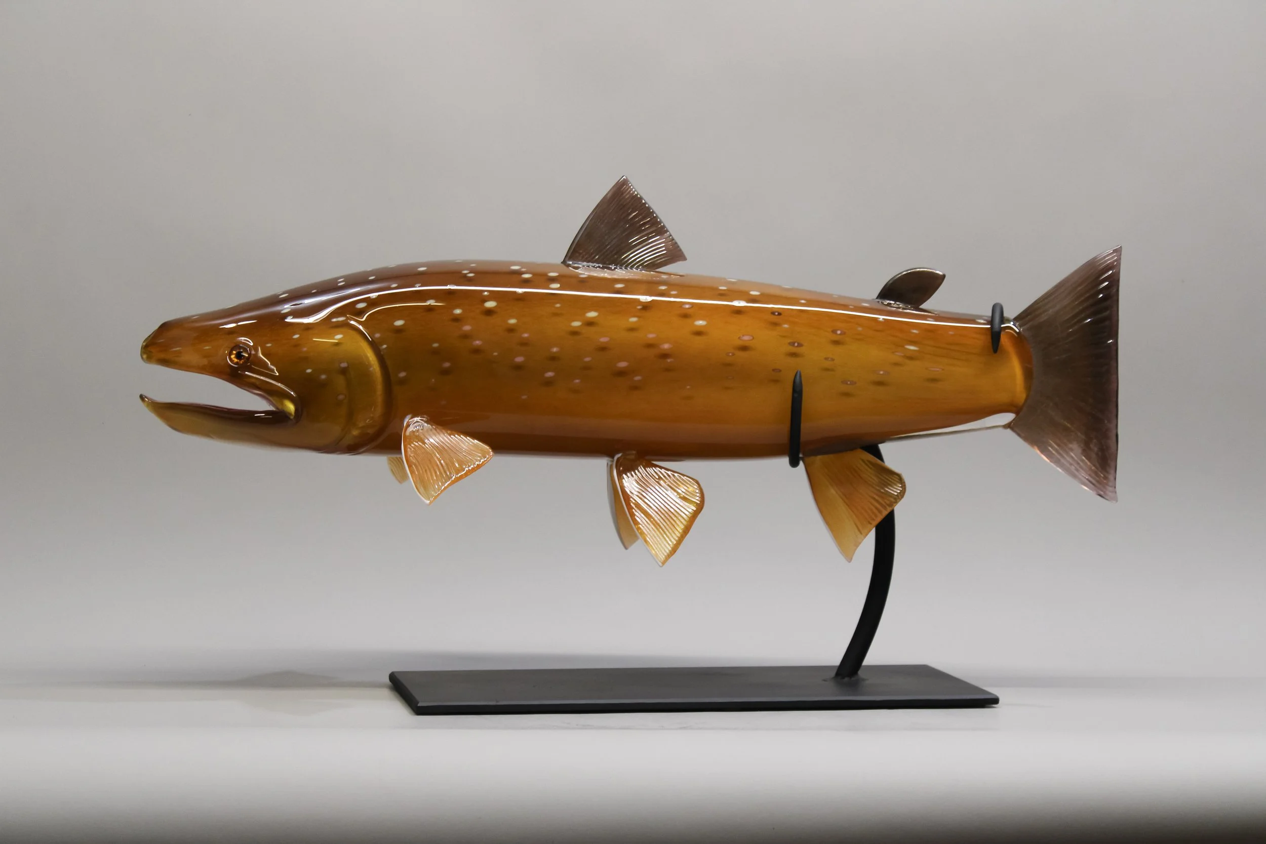 Bull Trout