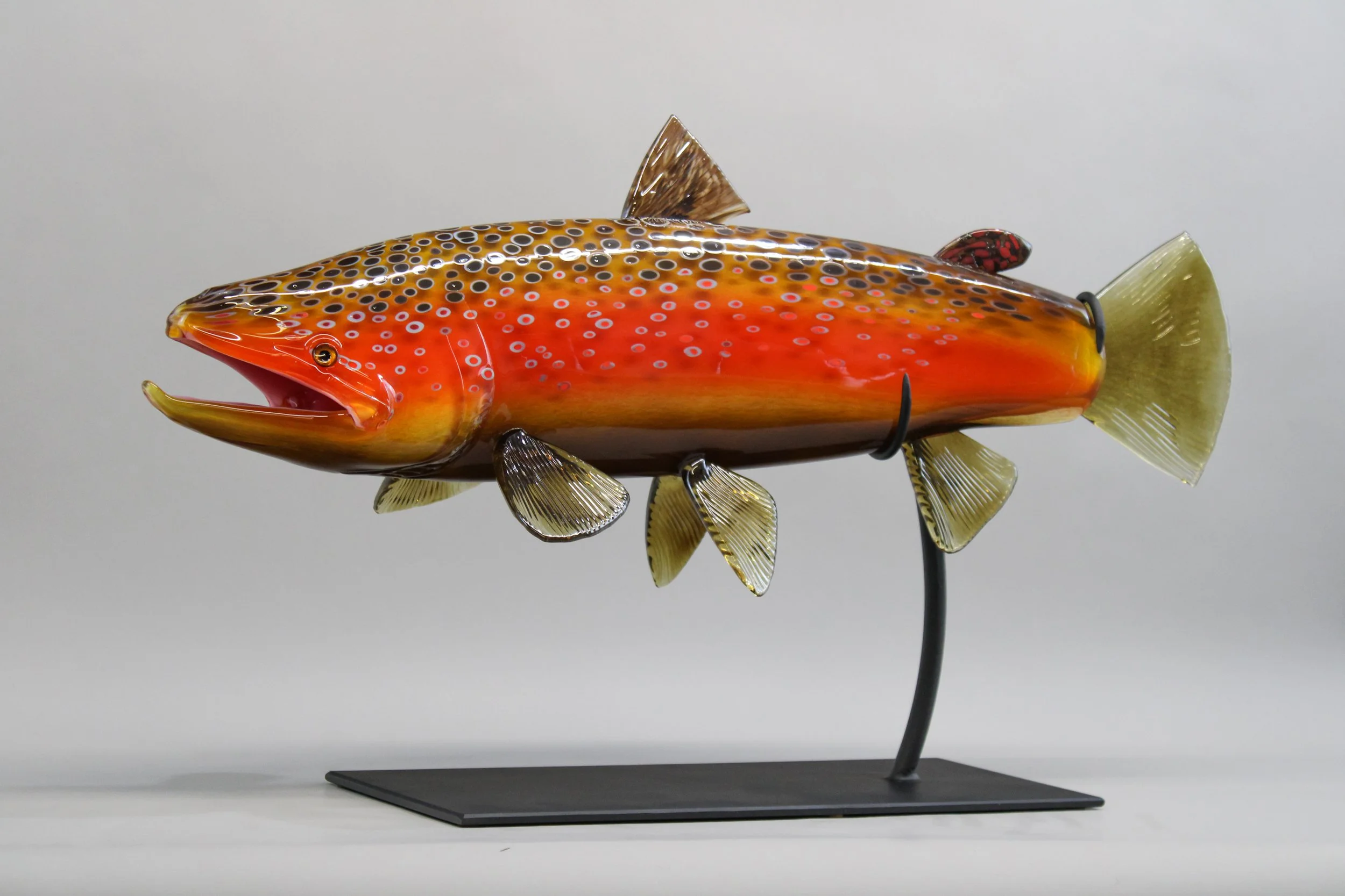 Fall Brown Trout