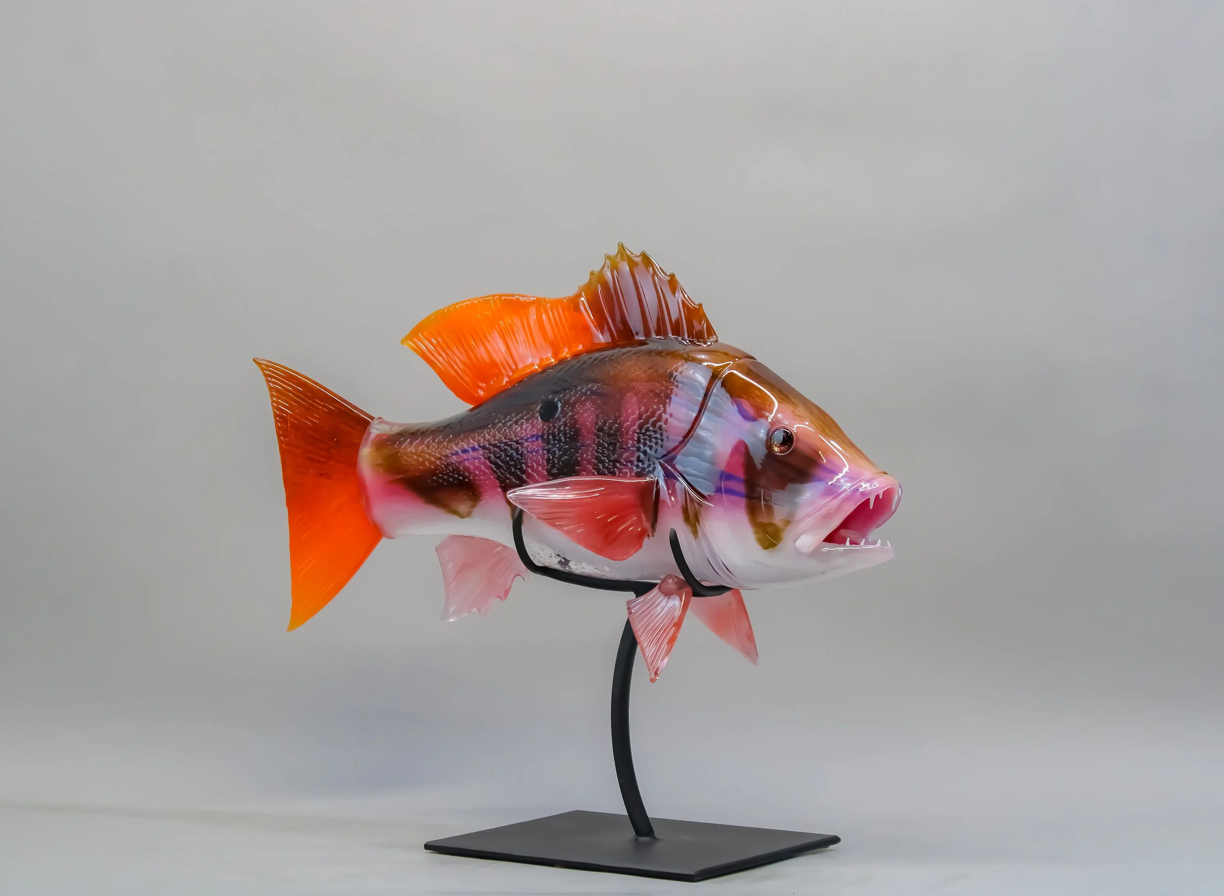 Mutton Snapper