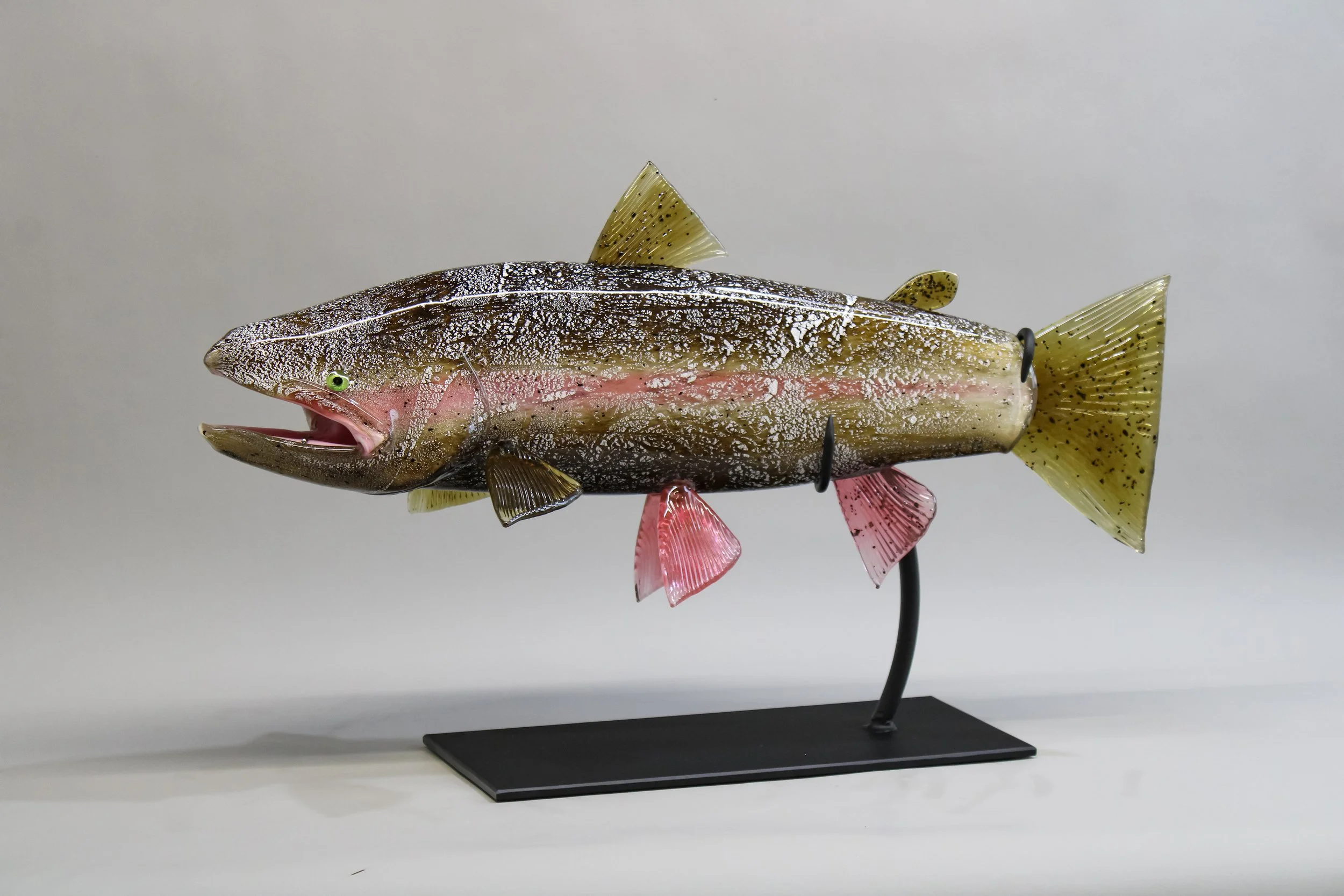 Dark Rainbow Trout