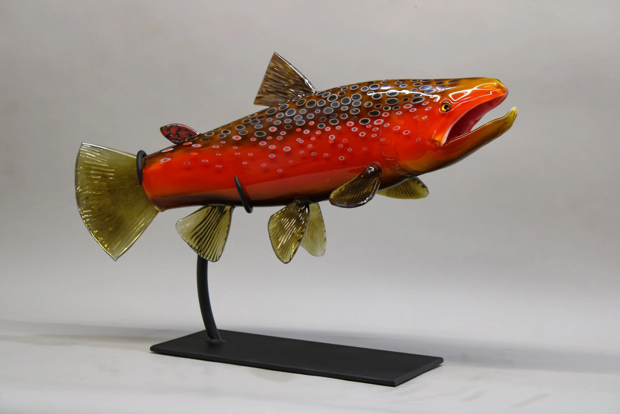 Fall Brown Trout