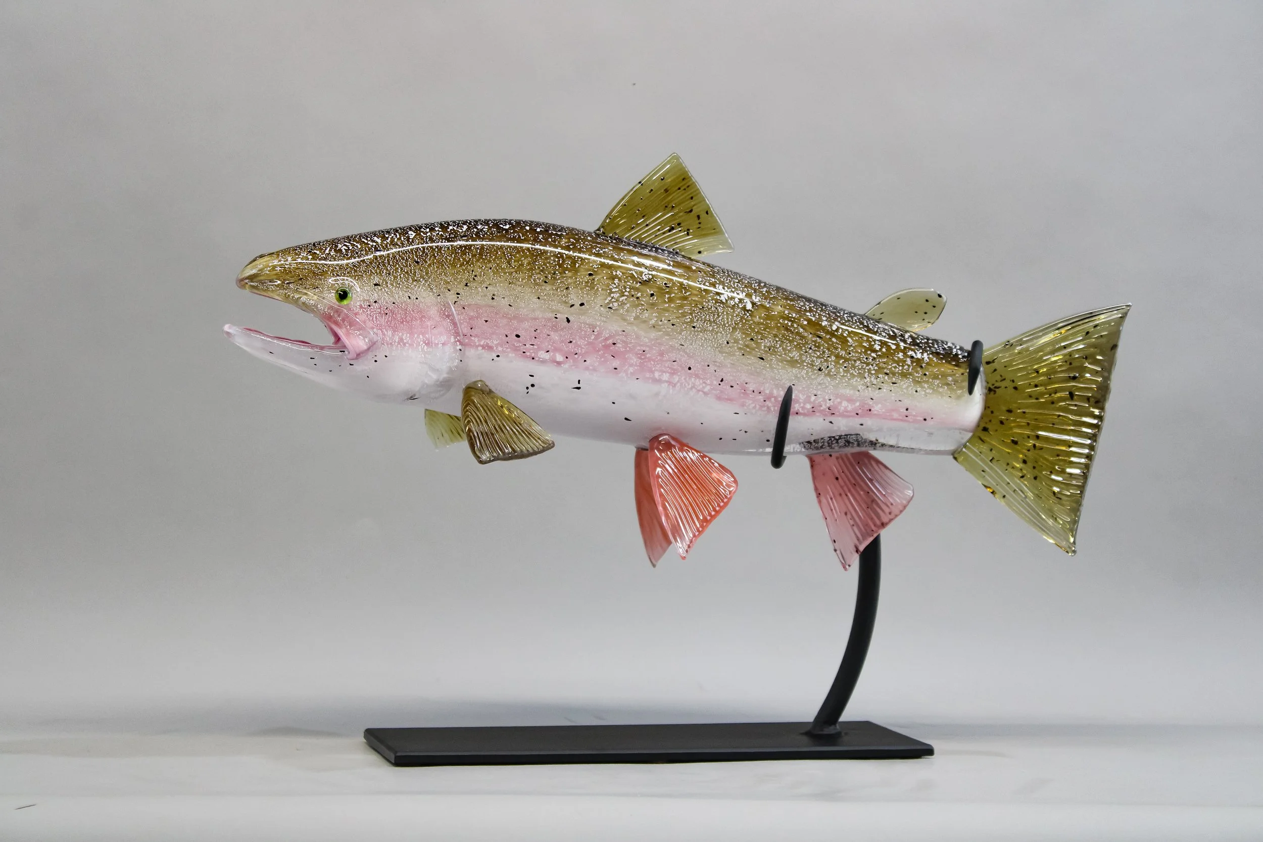 Rainbow Trout