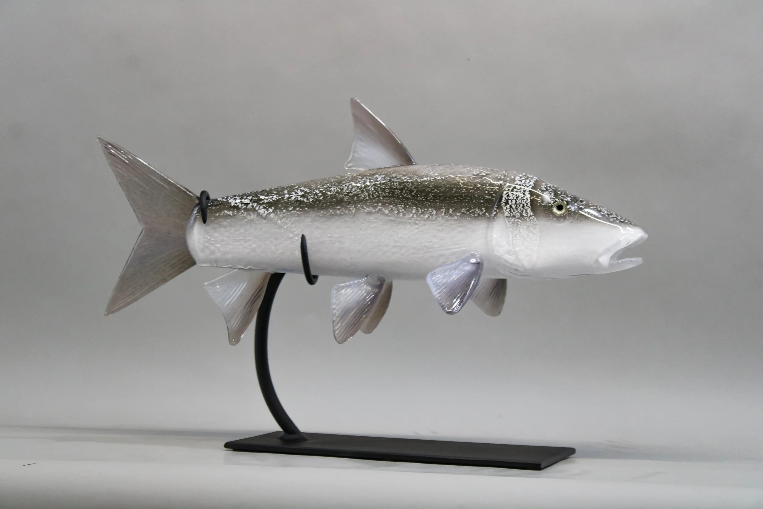 Bonefish
