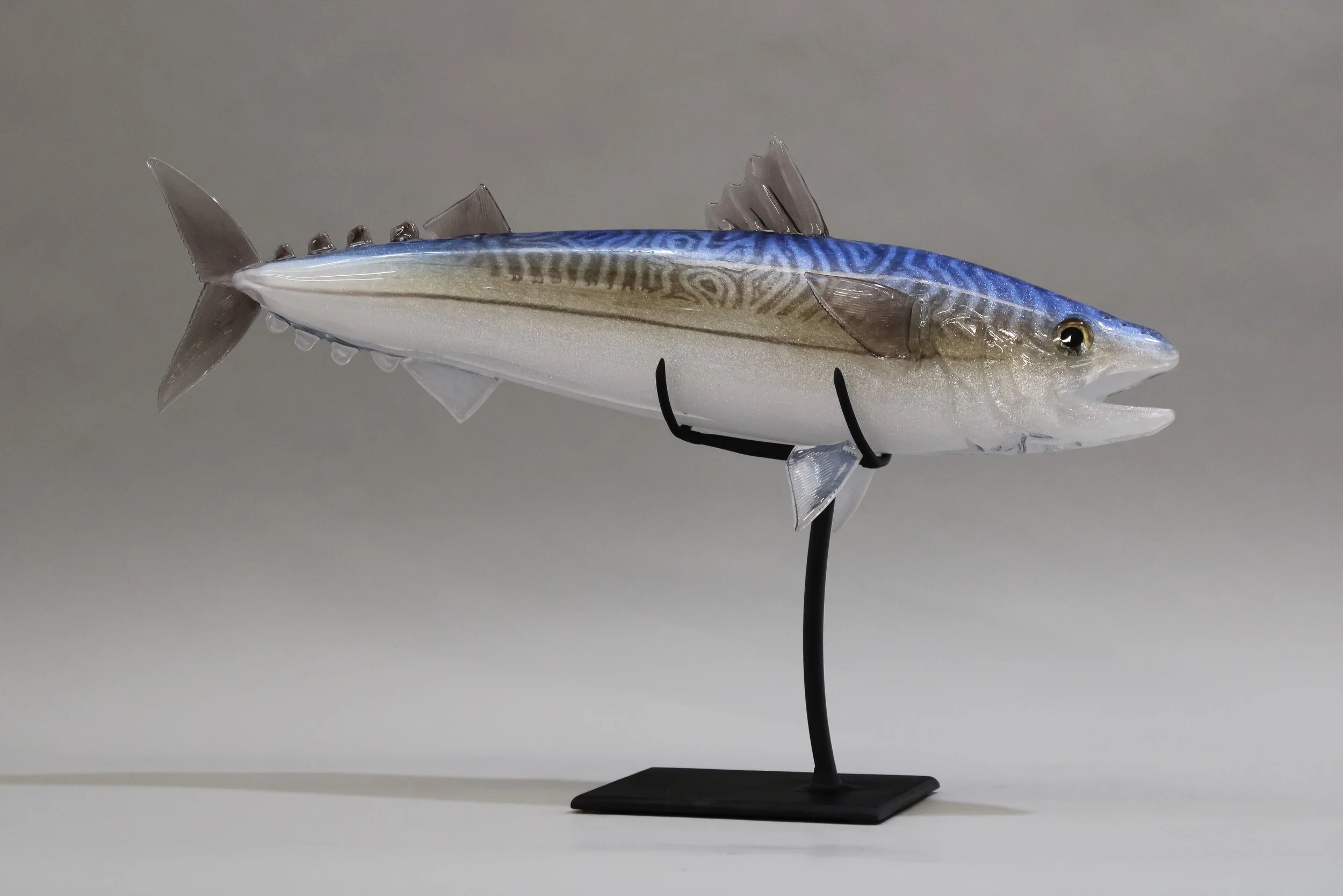 19" Mackerel