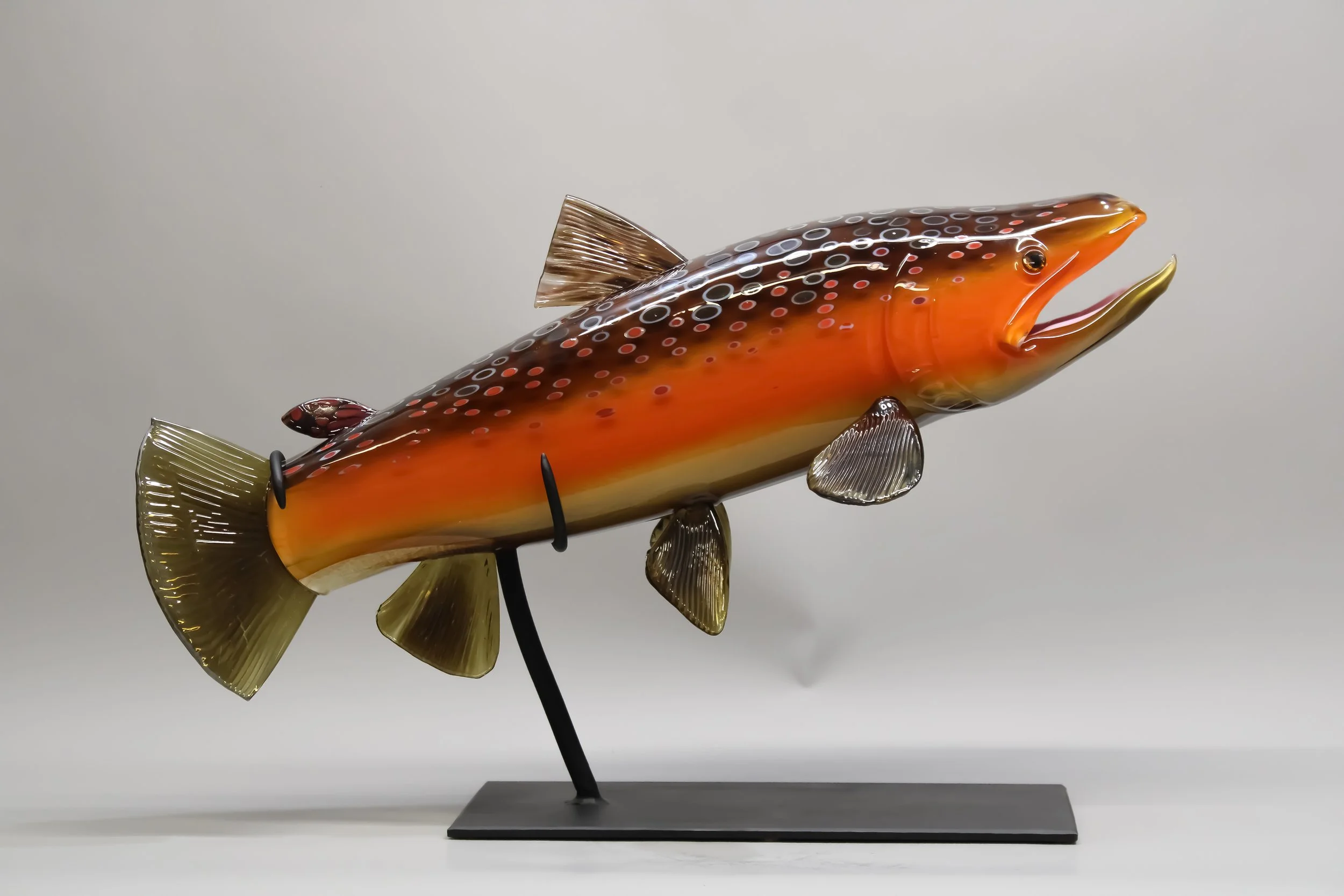 Fall Brown Trout