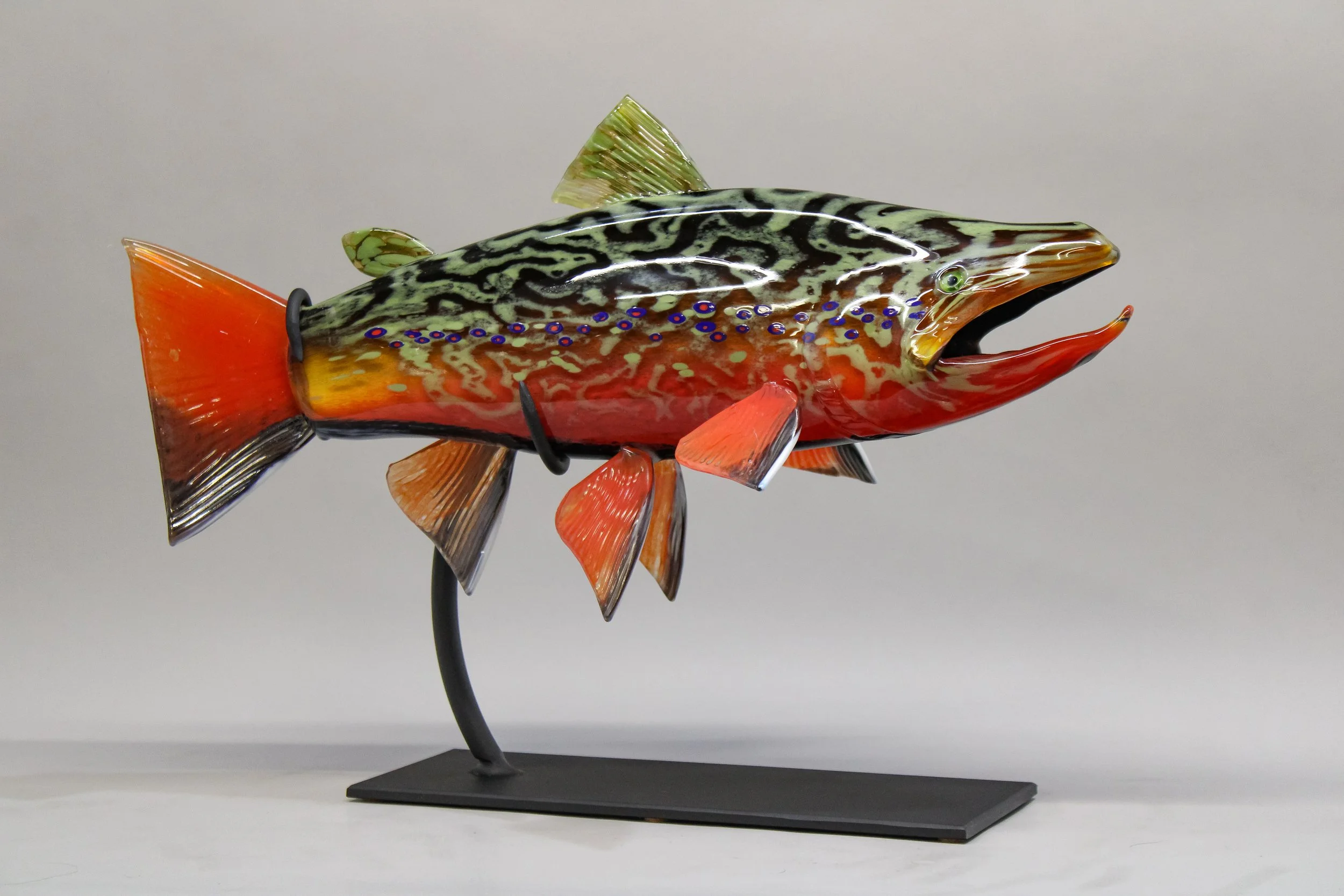 Brook Trout