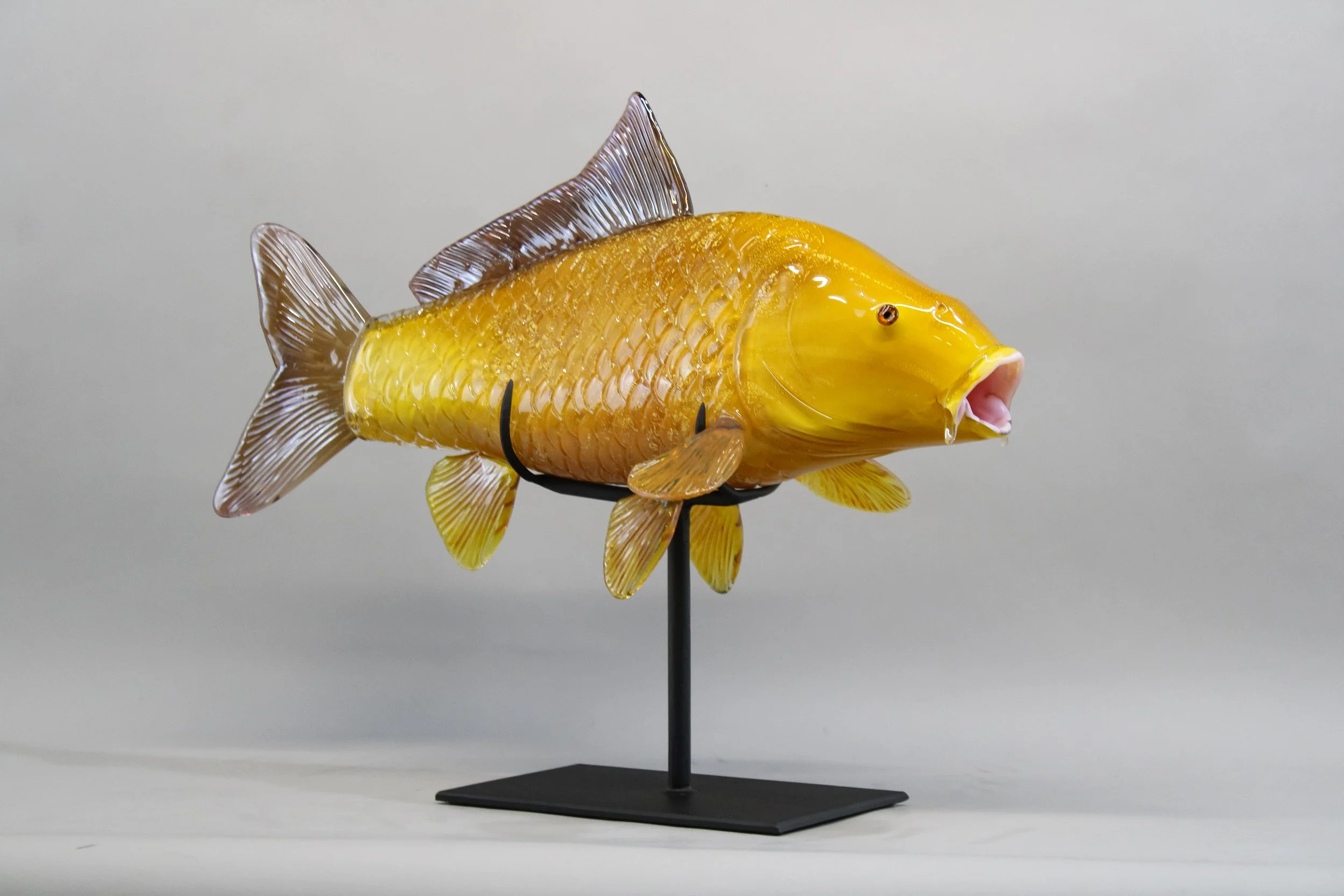 Carp