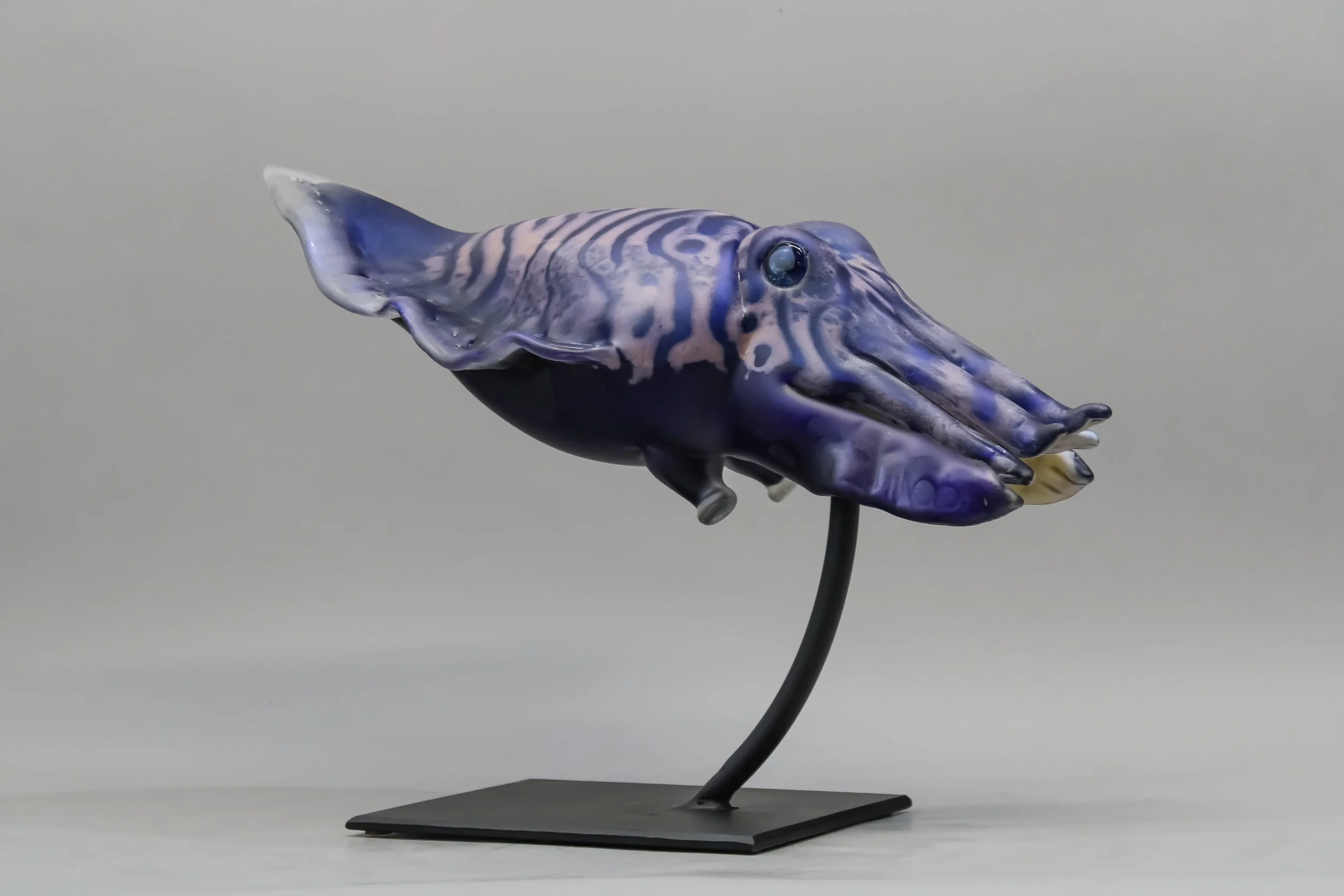 Cuttlefish