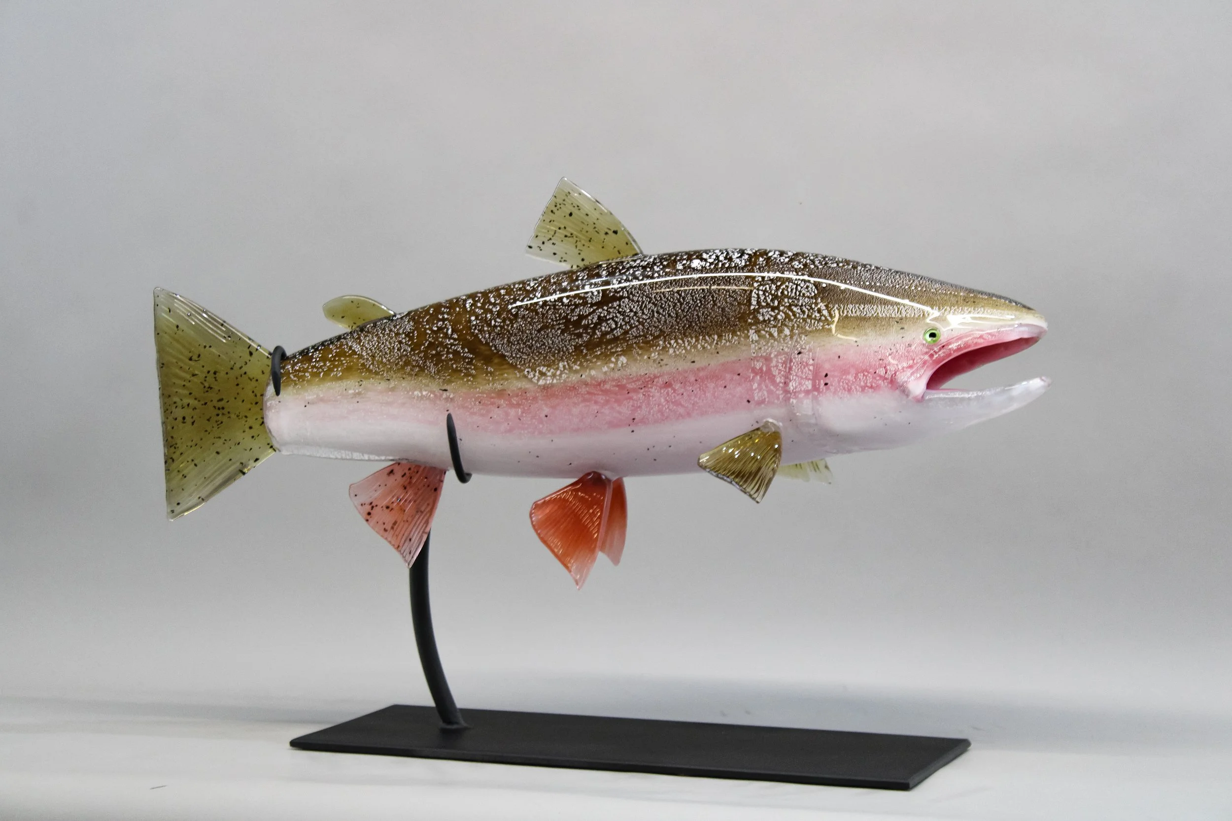Rainbow Trout