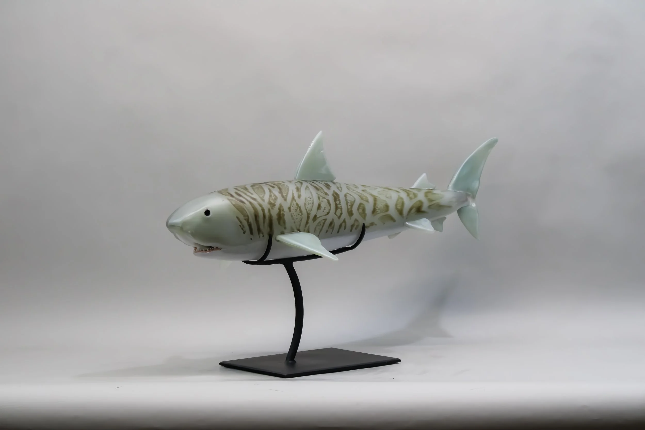 Tiger Shark
