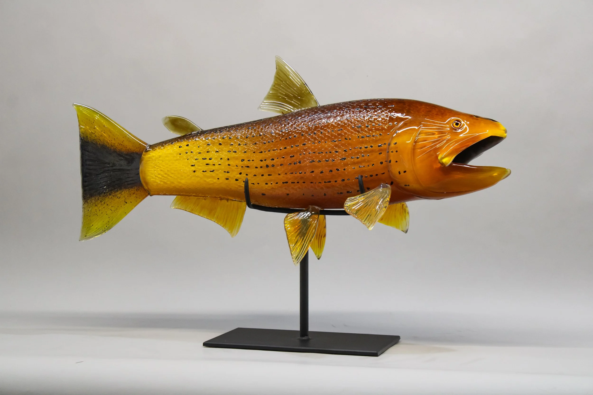 Golden Dorado
