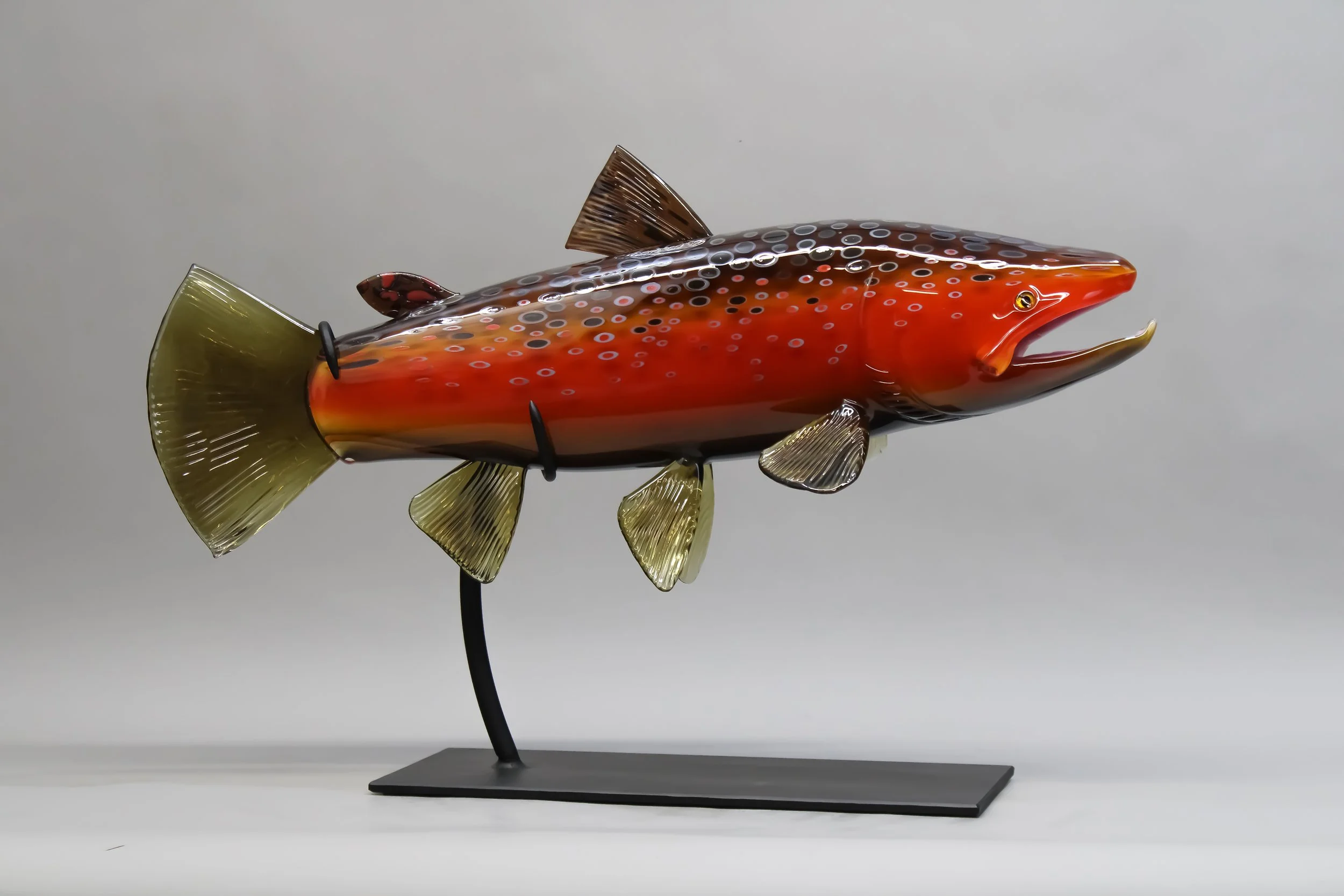 Fall Brown Trout