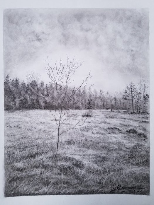 Winter is coming, Doraine Carswell, Drawing - Charcoal and pencil