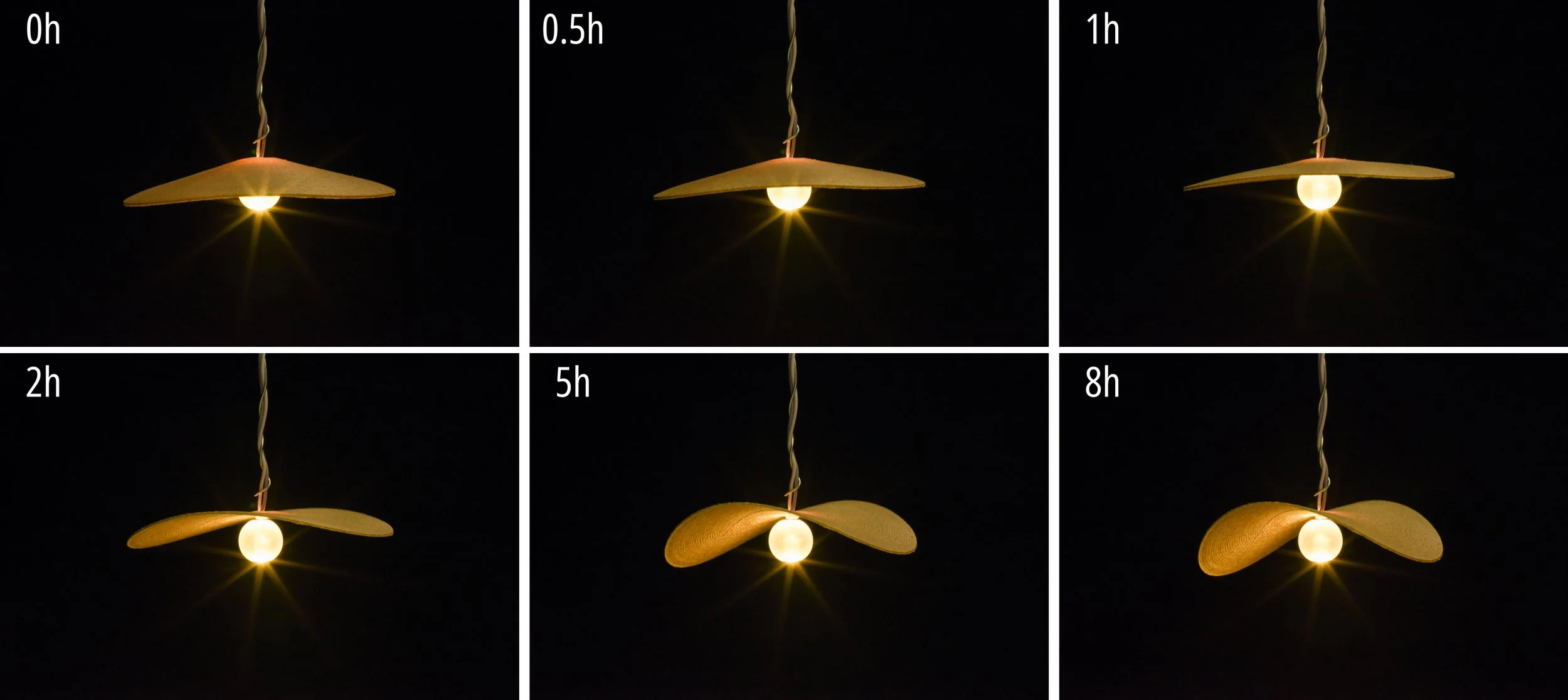 02_lampshade.jpg