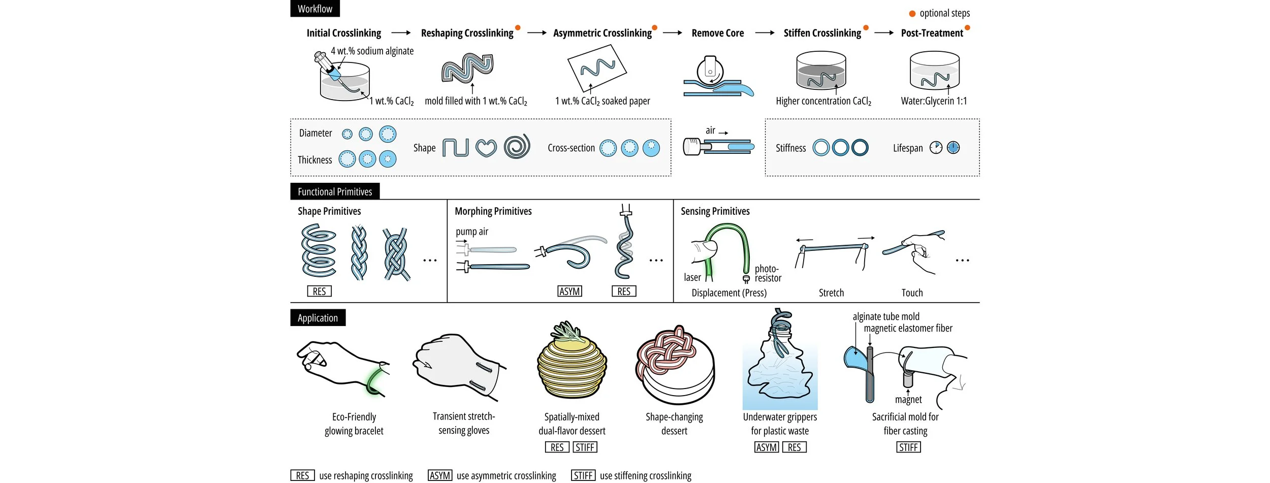 Bio Tube BioTube: Designing and Fabricating Biodegradable Hollow Tubular Devices ...