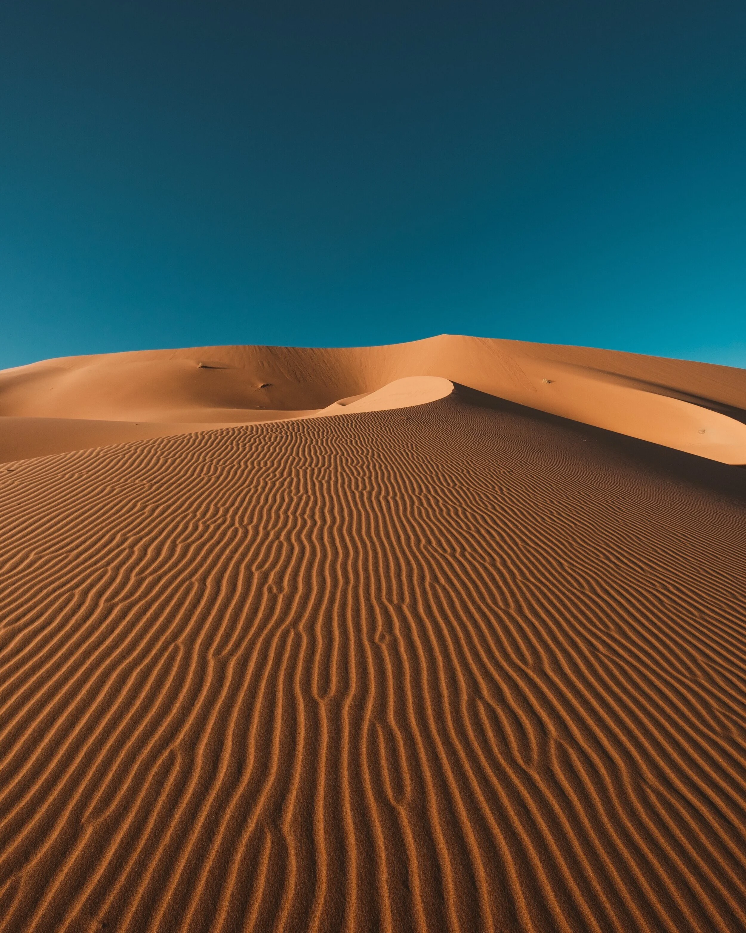 AdobeStock_305088186.jpg