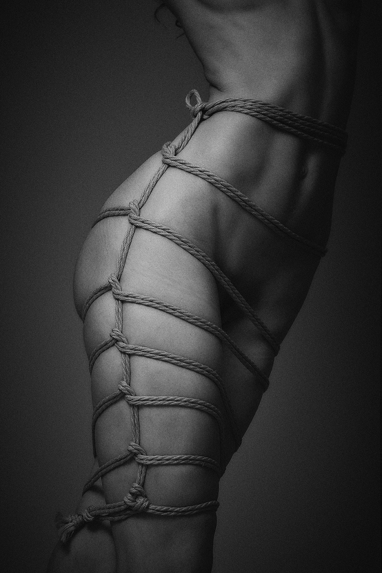 Shibari harnes on legs by Dan Carabas