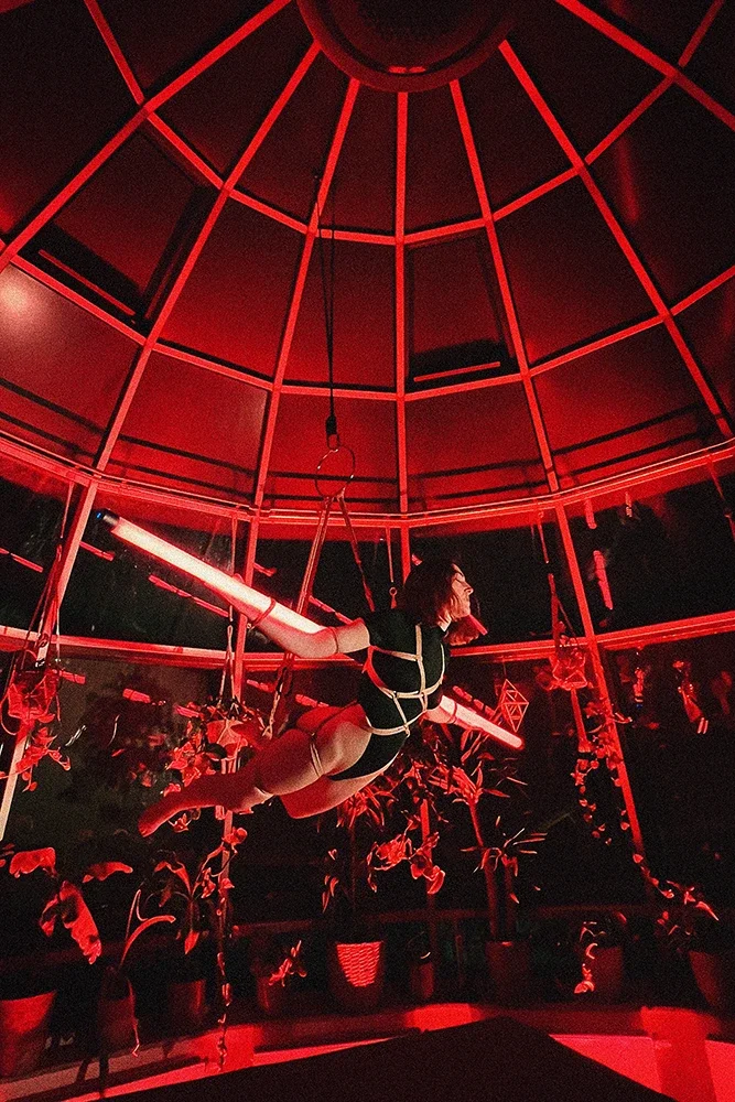 Contemporary Shibari Performance by Dan Carabas