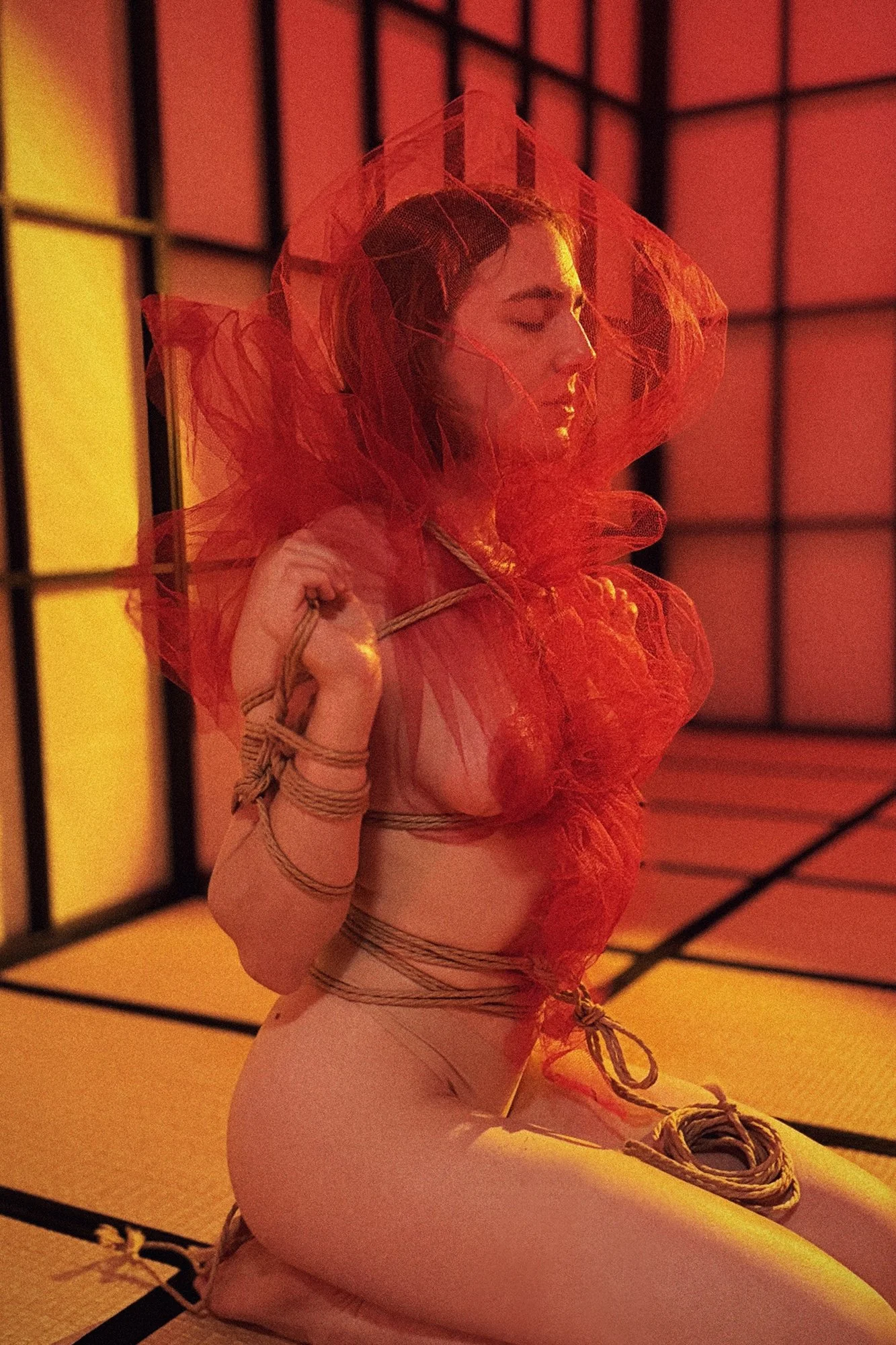 Shibari Life Drawing Workshop in Berlin