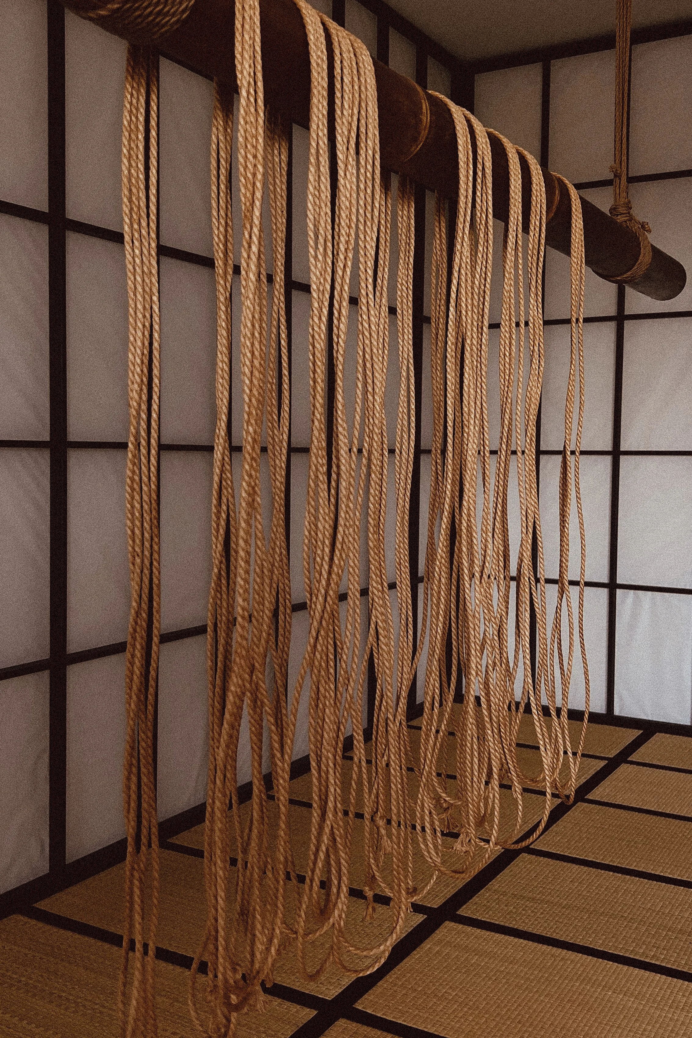 Rope_Hang_IMG_1163.jpg (Kopie)