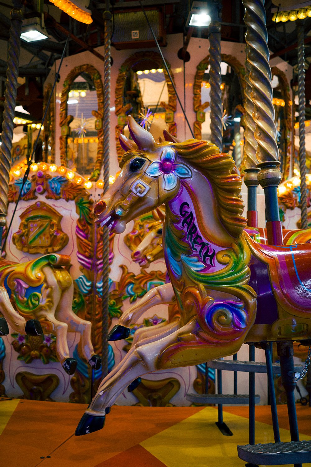 Photo of a horse named Gareth